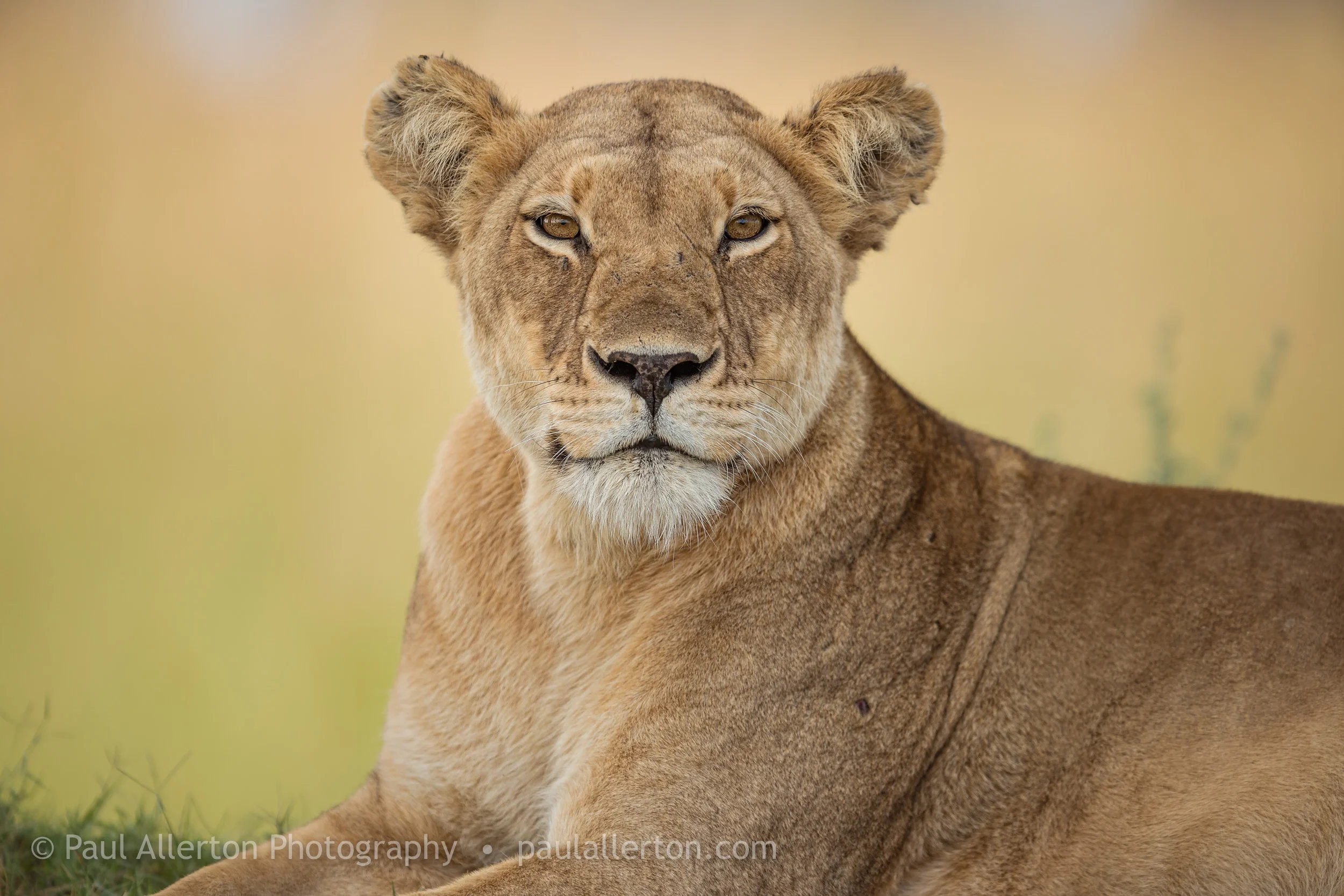 Botswana_28.jpg