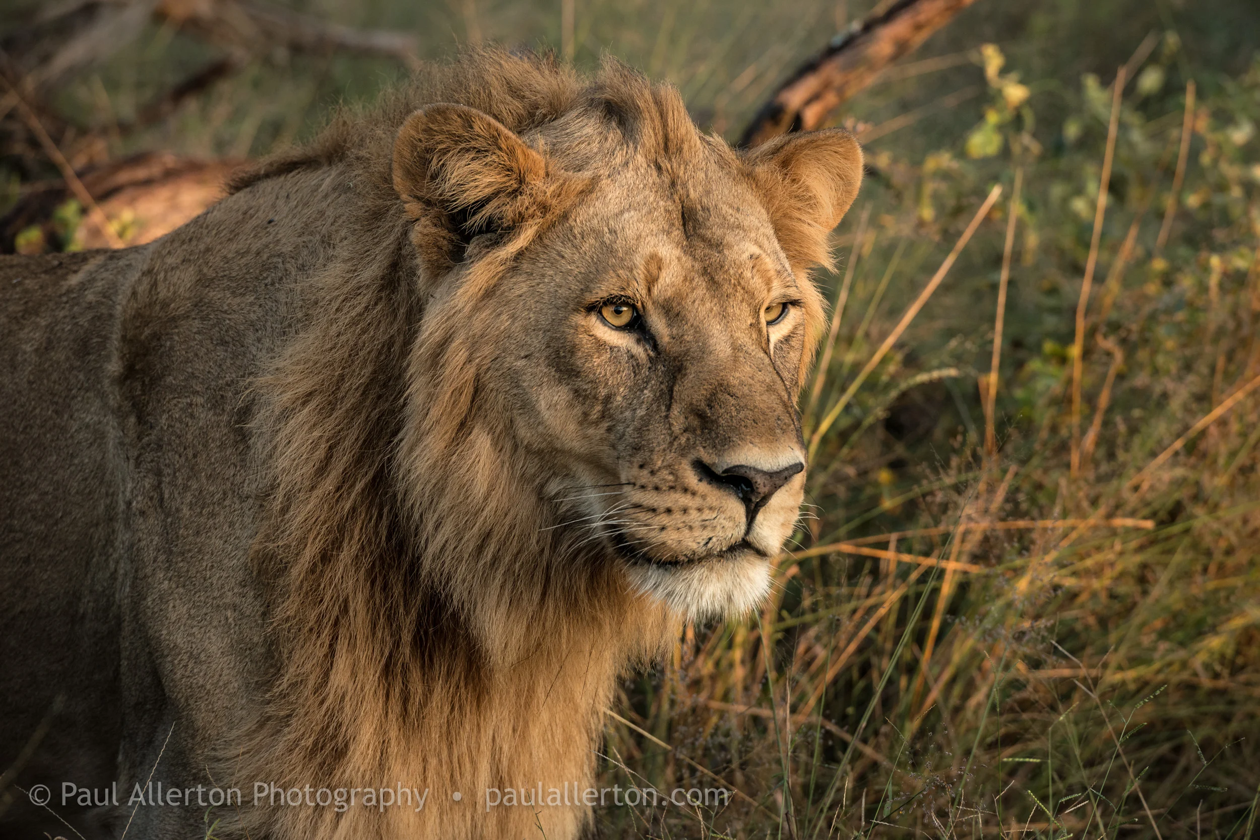 Botswana_29.jpg