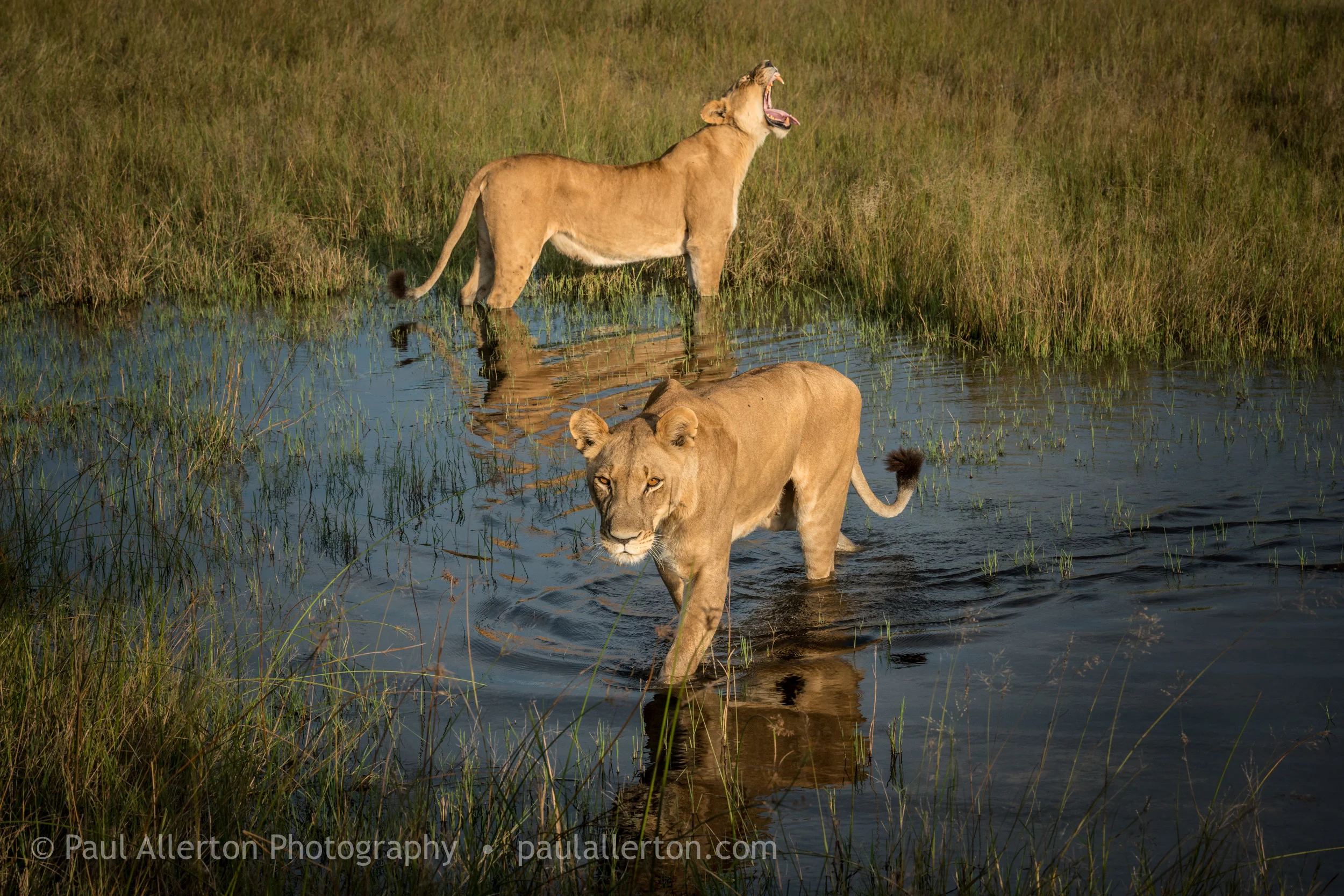 Botswana_31.jpg