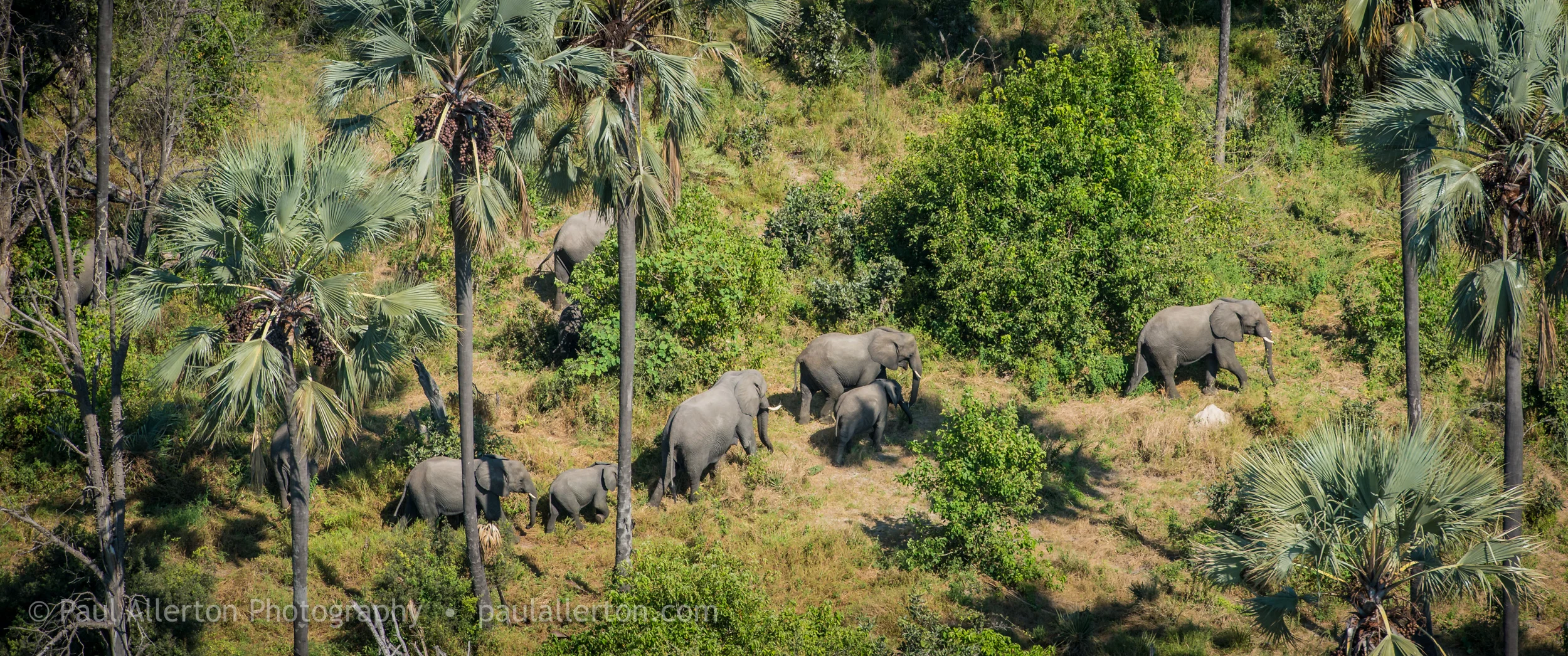 Botswana_30.jpg