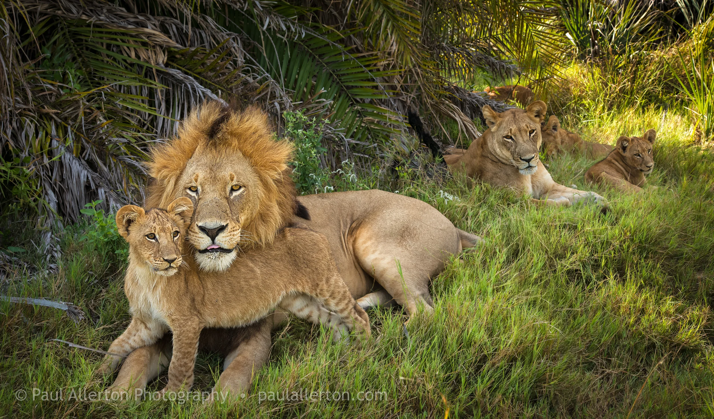 Botswana_32.jpg