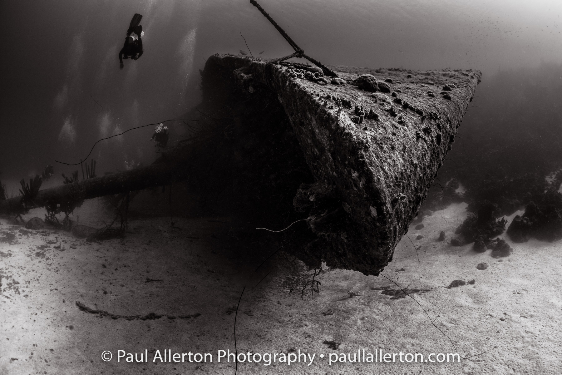 Bonaire-34.jpg