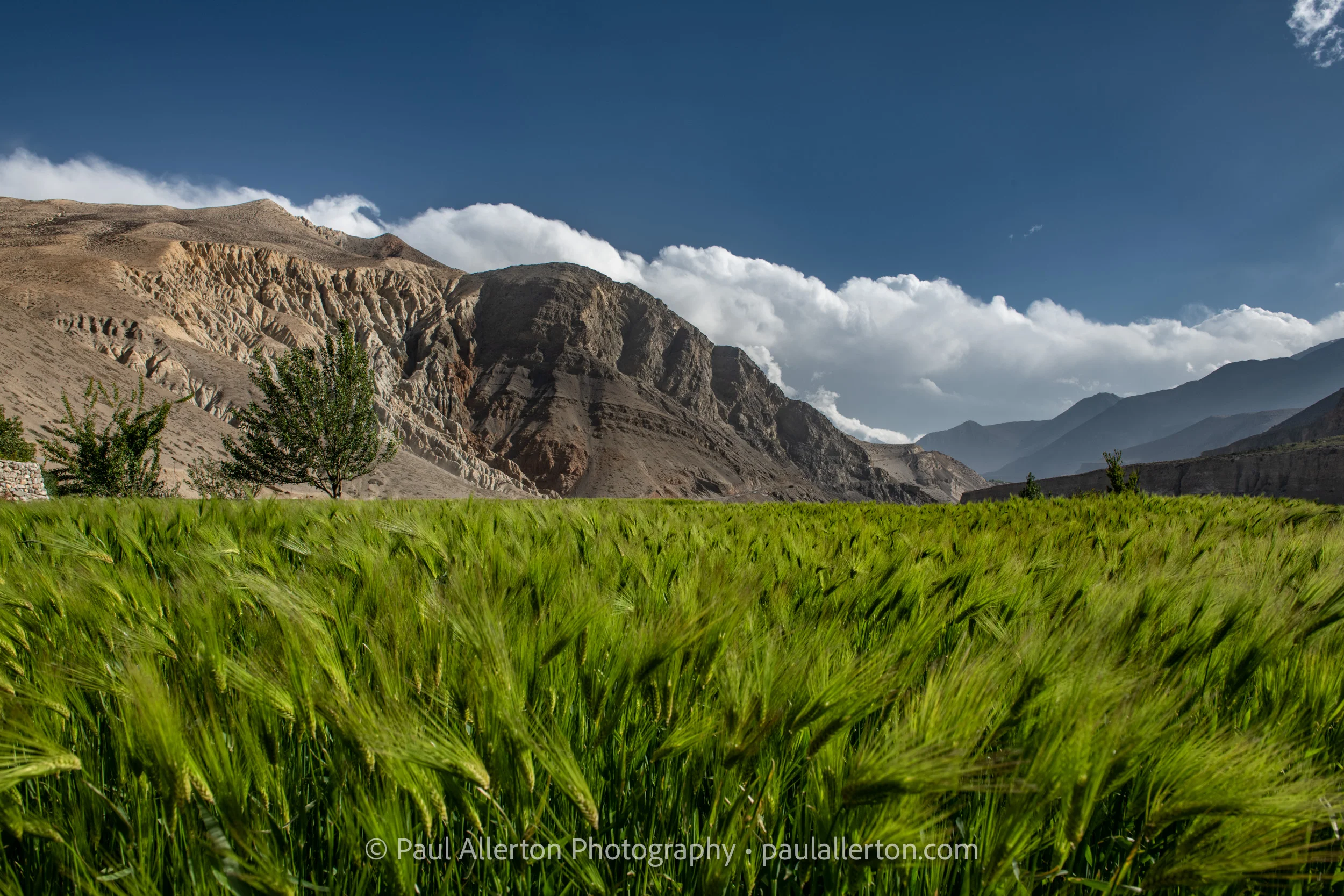 Nepal-36.jpg