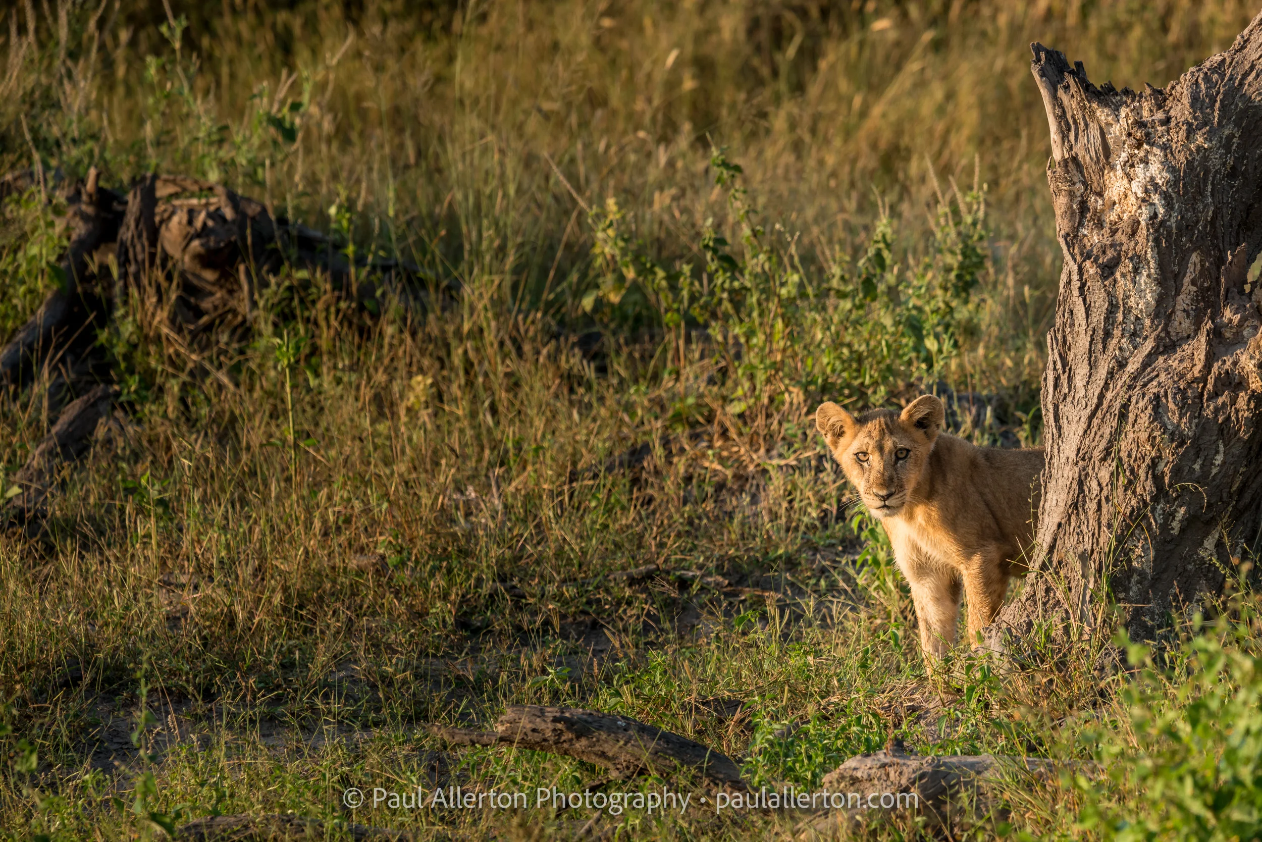 Botswana2014_689.jpg