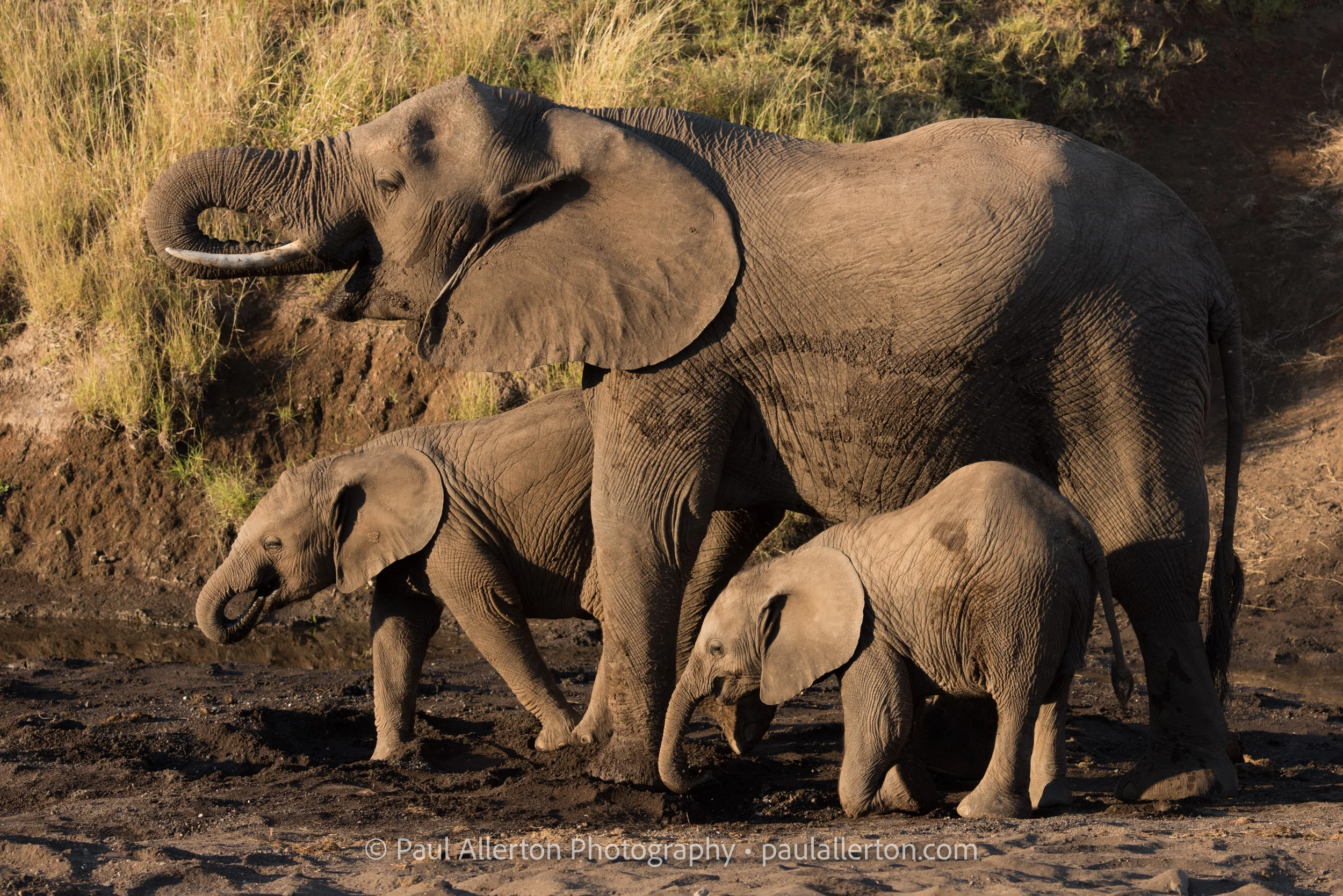 Botswana2016_1296.jpg