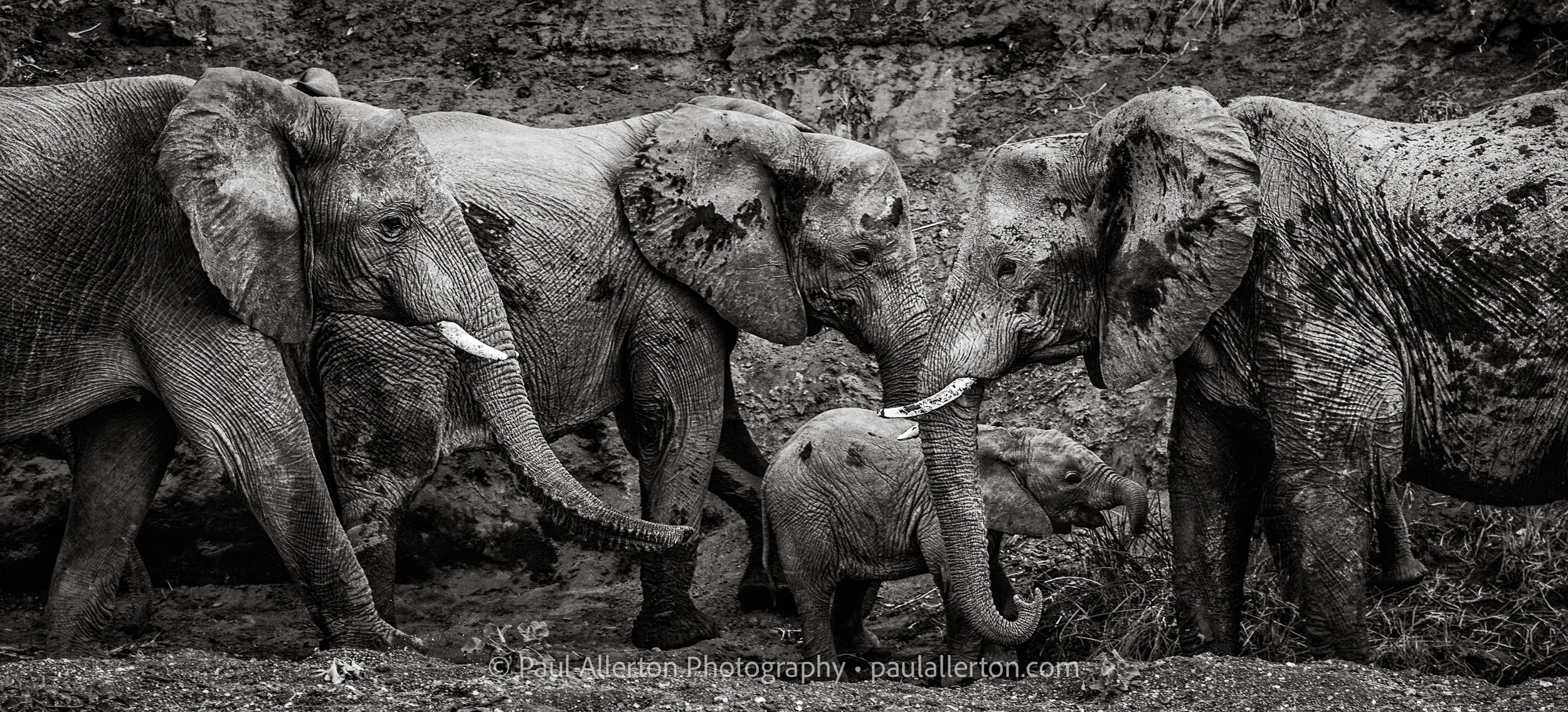 Botswana2016_1375.jpg