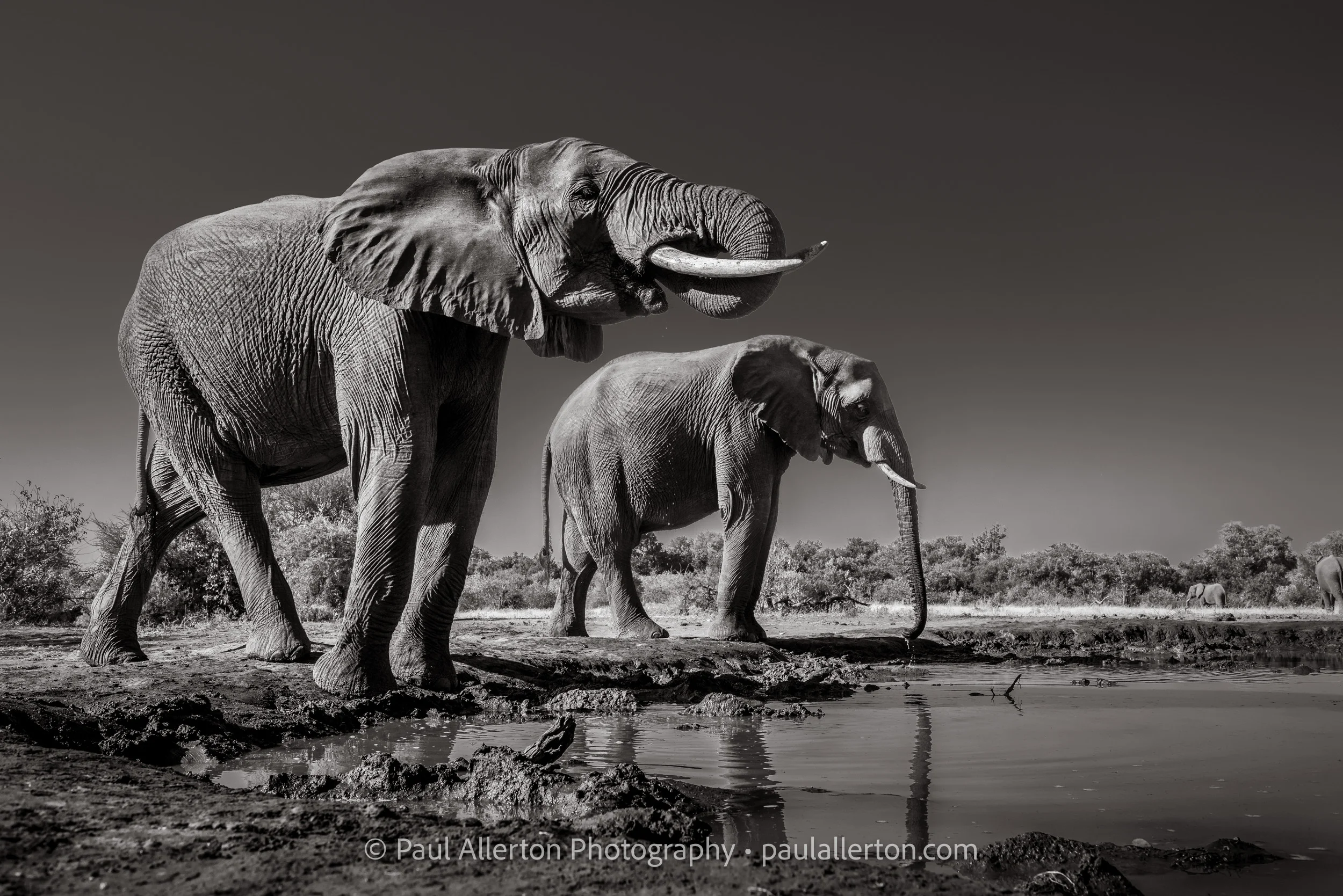 Botswana2016_3038.jpg