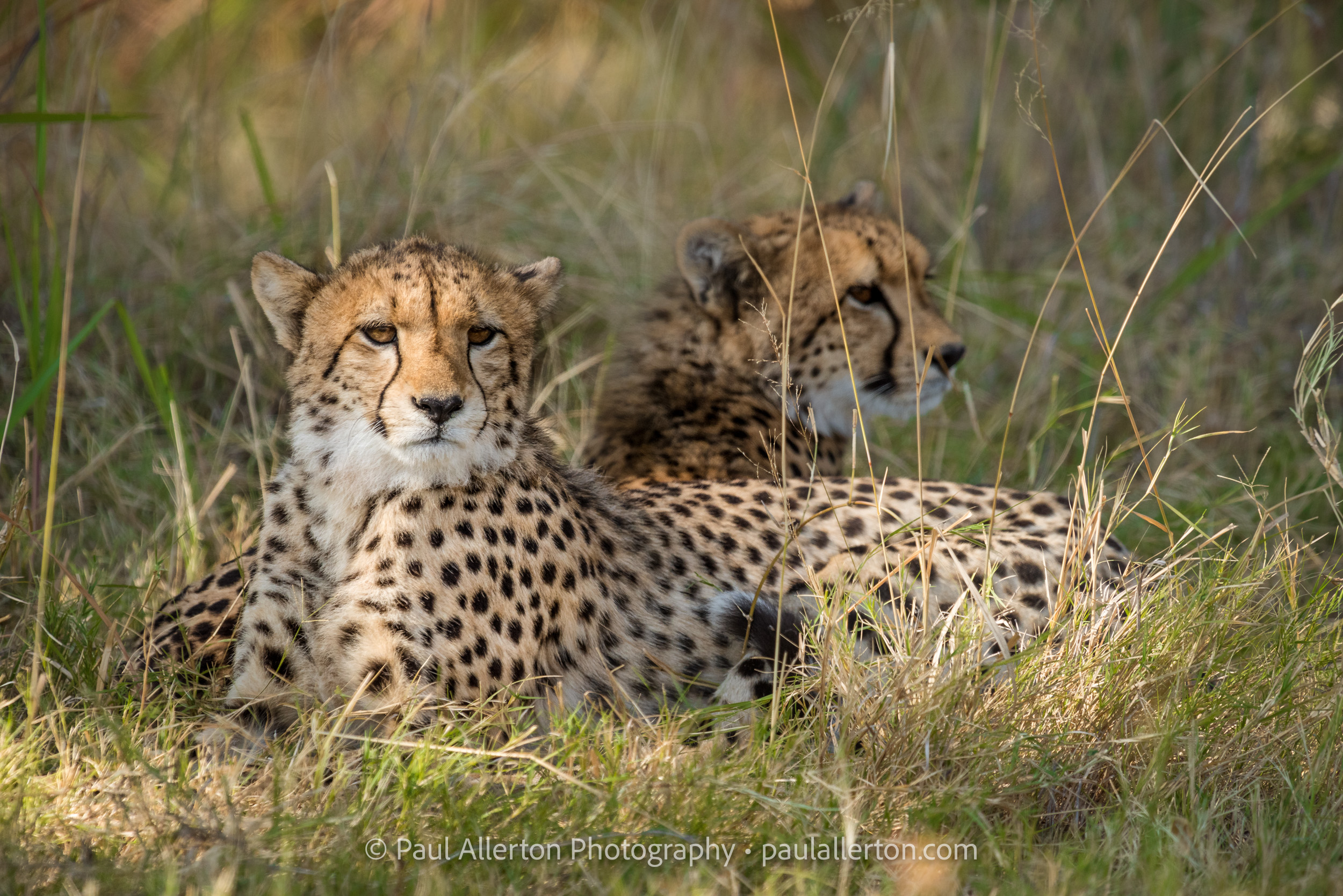 Botswana2016_5914.jpg