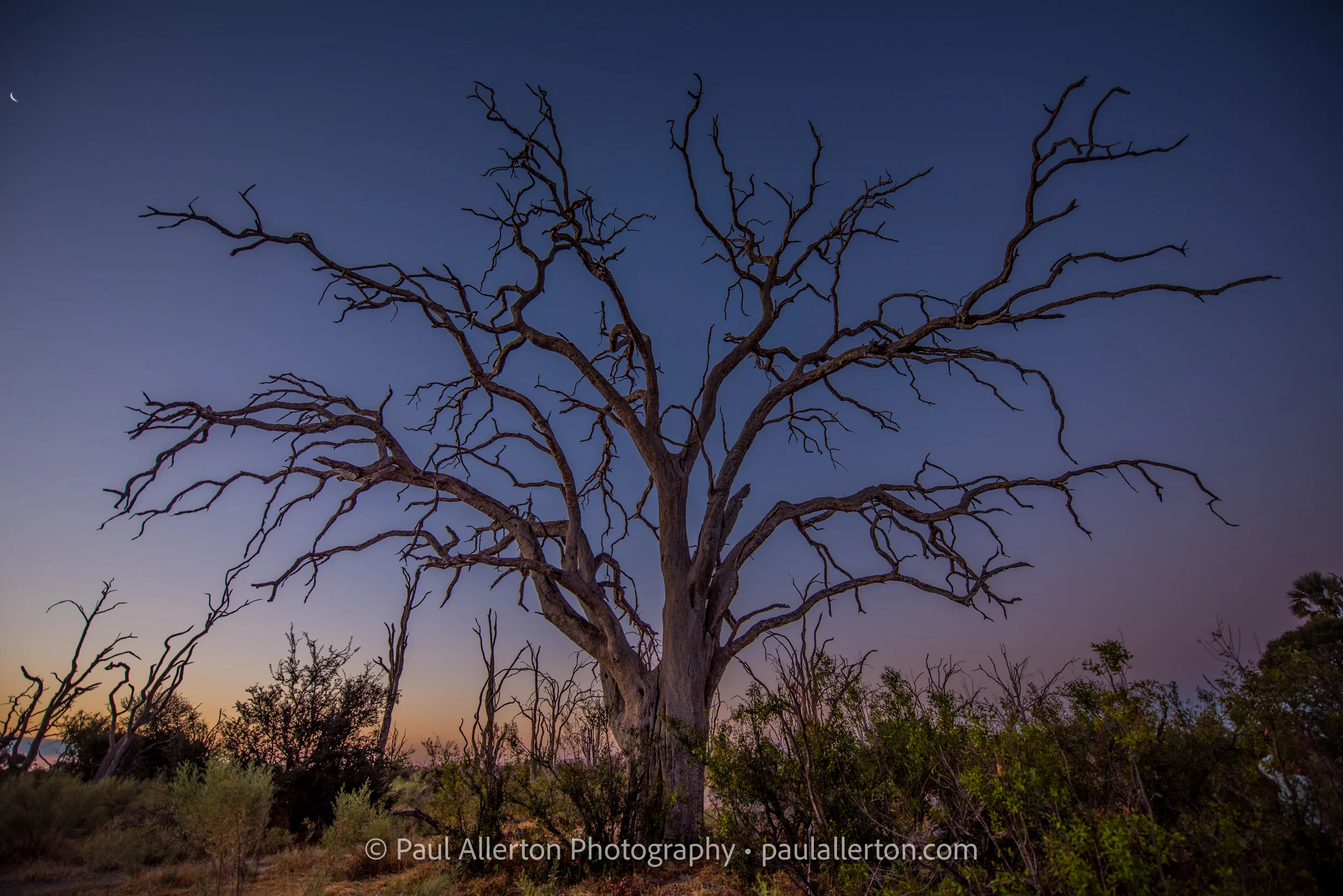 Botswana2016_7743.jpg