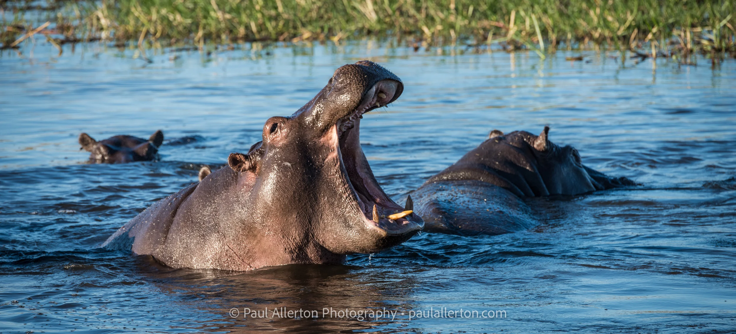 Botswana2016_7808.jpg