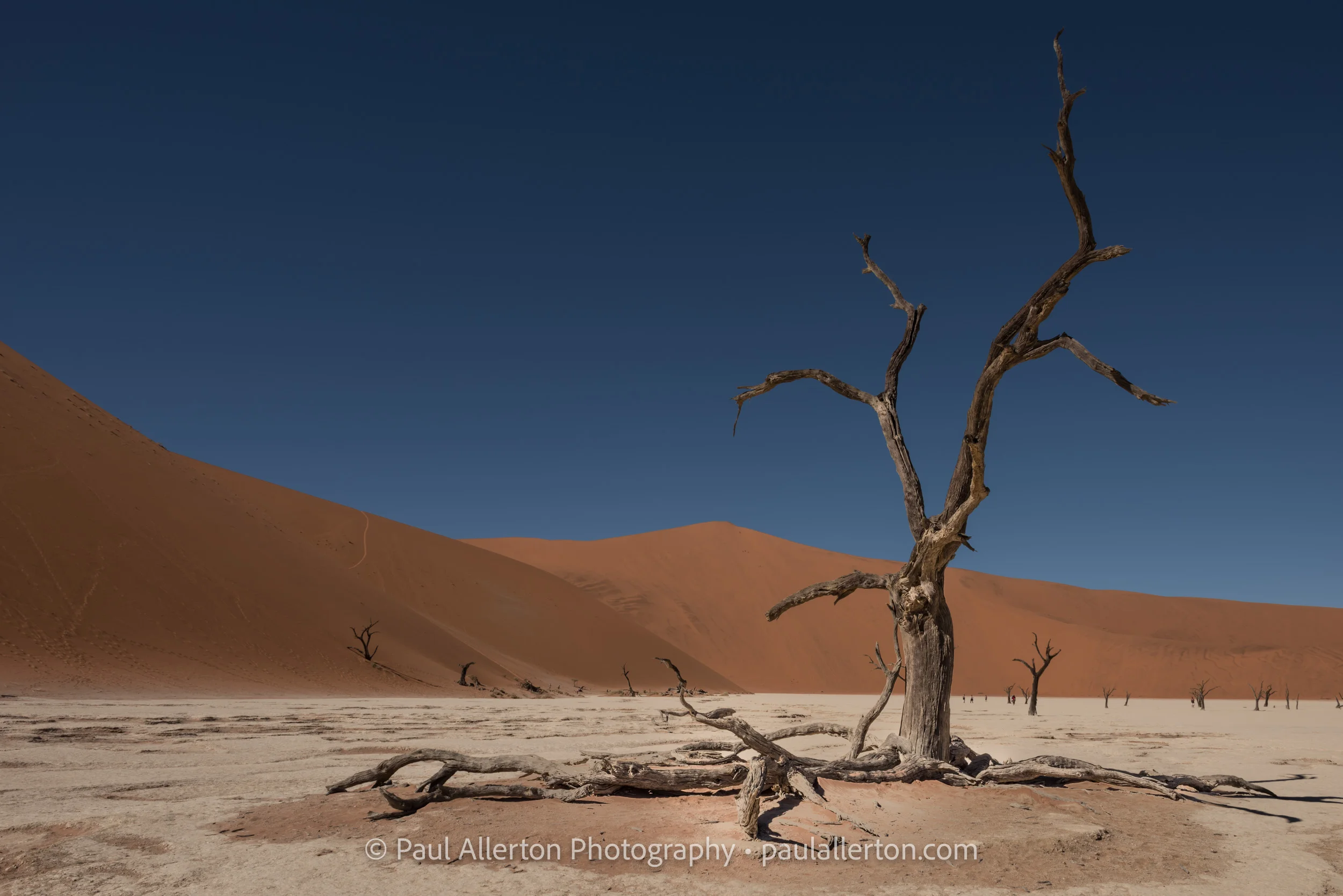 Namibia2016_2440.jpg