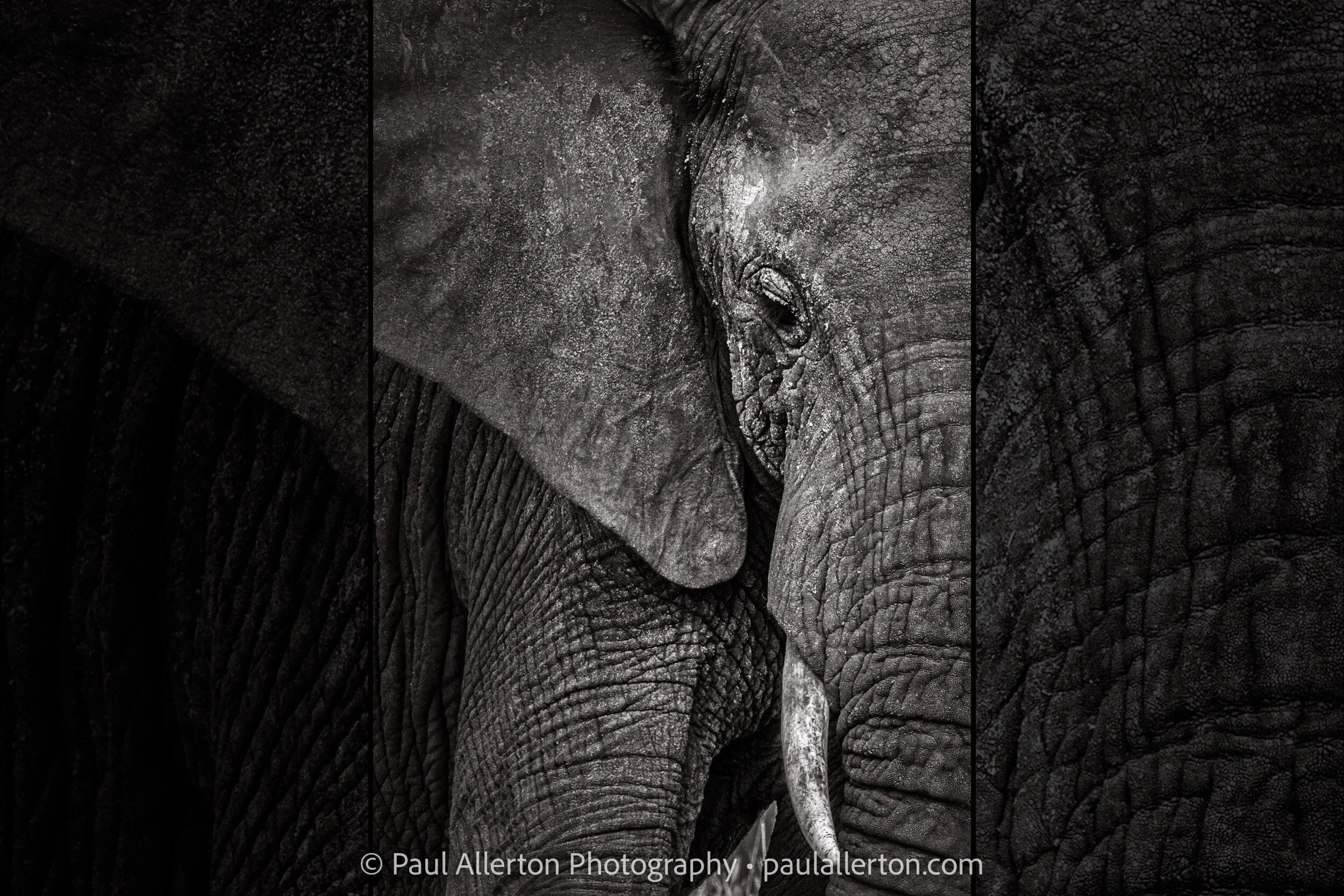 Tanzania2013_492_Wide.jpg