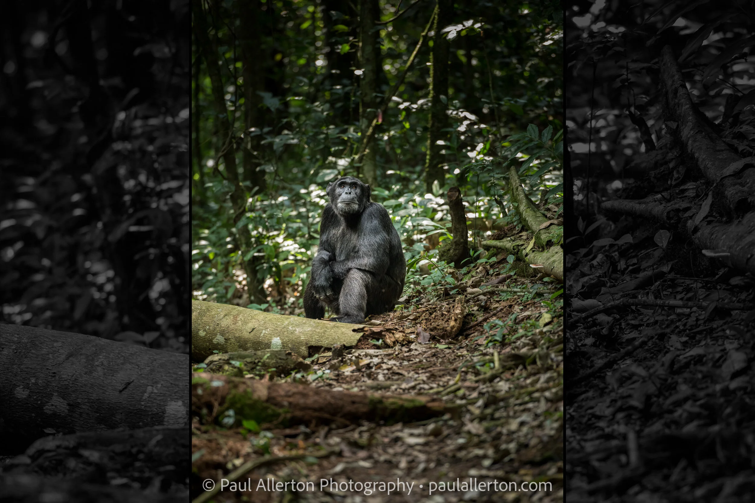 Uganda_1632_Wide.jpg