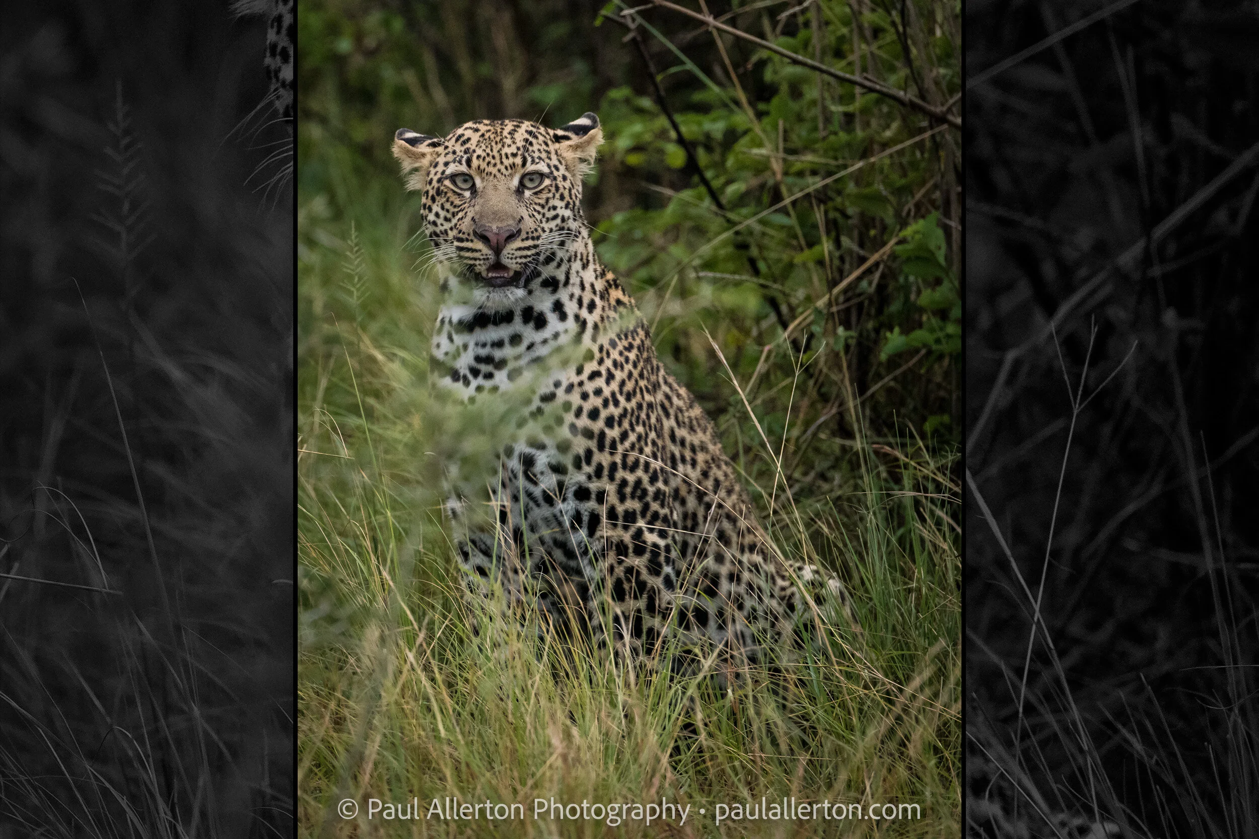 Uganda_2162_Wide.jpg