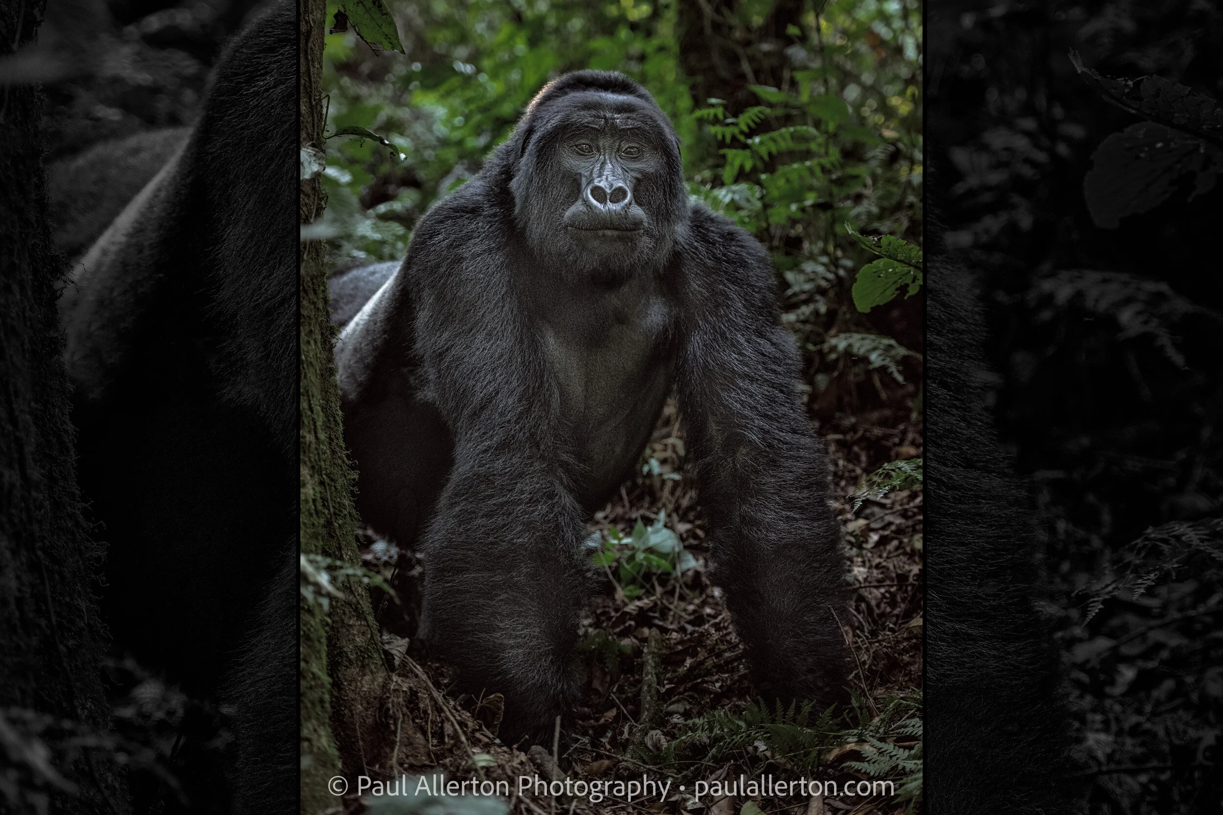 Uganda_3469_Wide.jpg