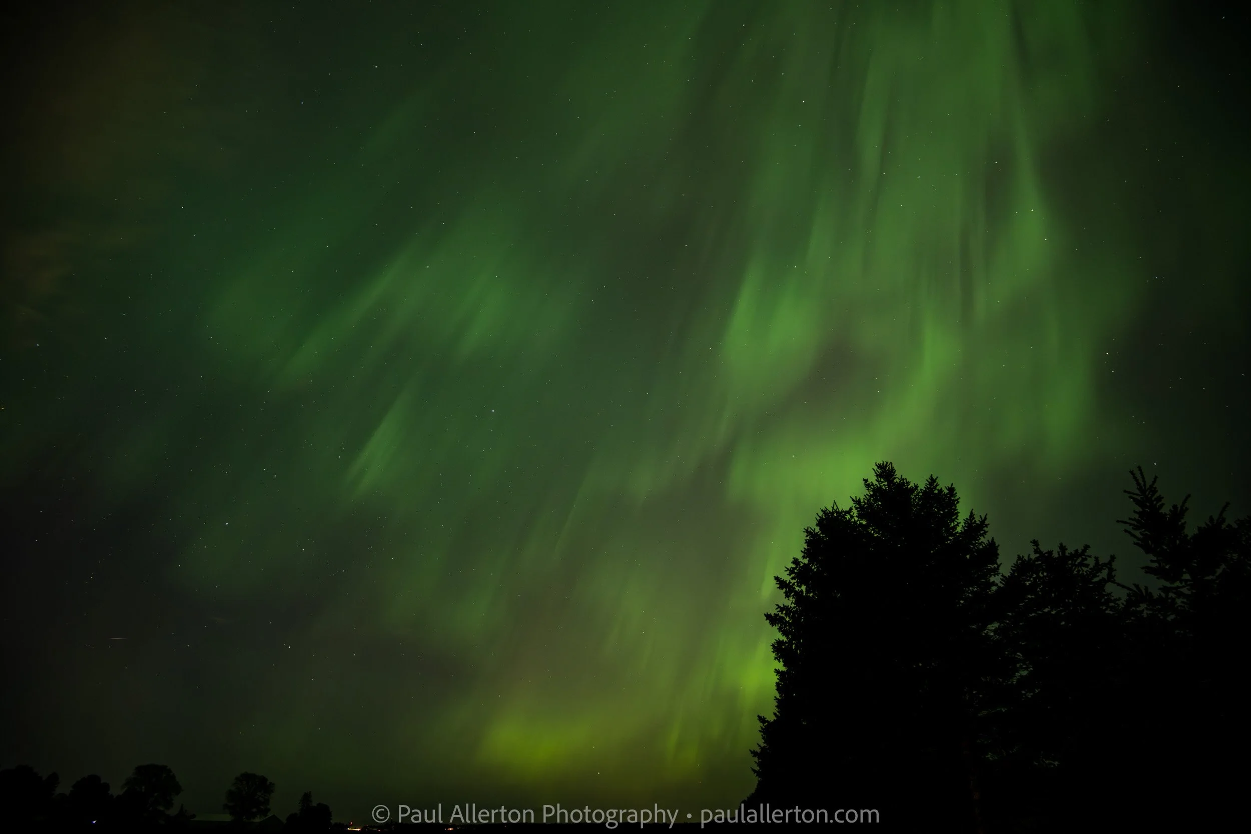 Aurora_CG_Website-2.jpg