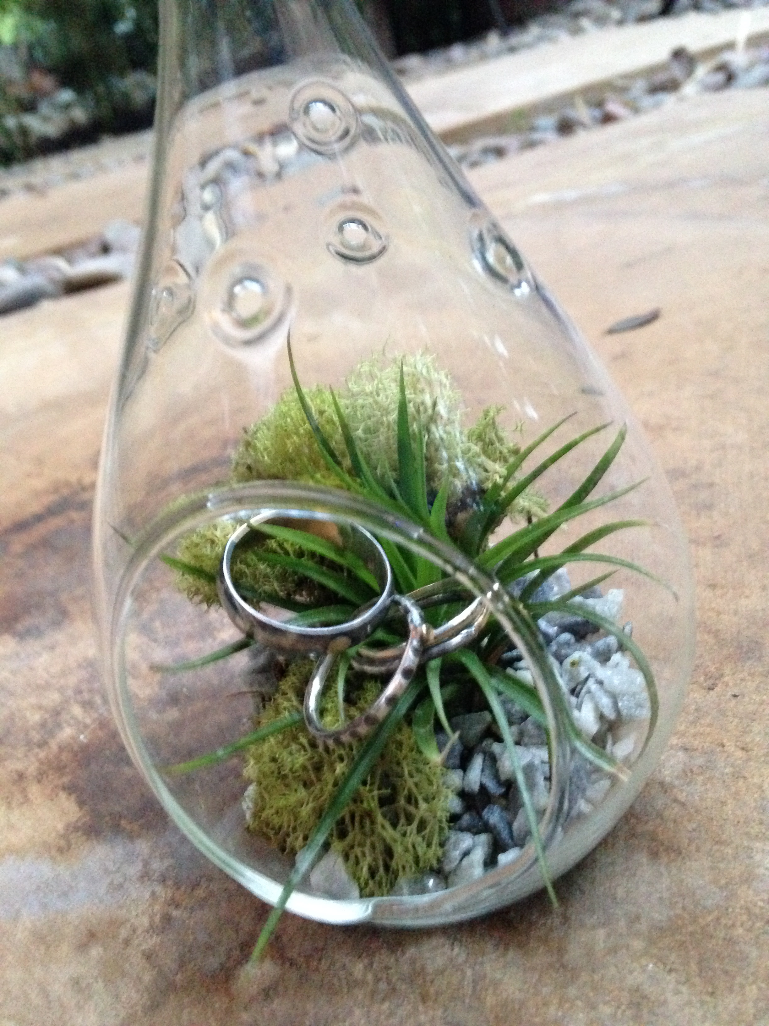 Presented them their rings in this mini-terrarium! 