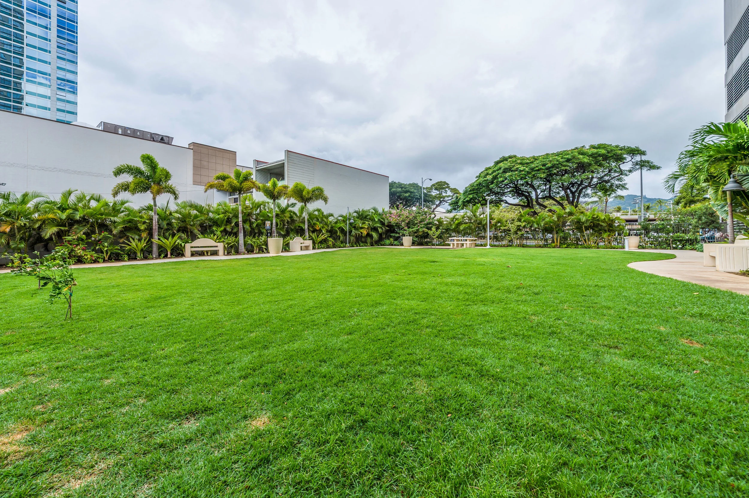 1009 Kapiolani Blvd Honolulu-print-037-13-zDoggie Park1-4200x2796-300dpi.jpg