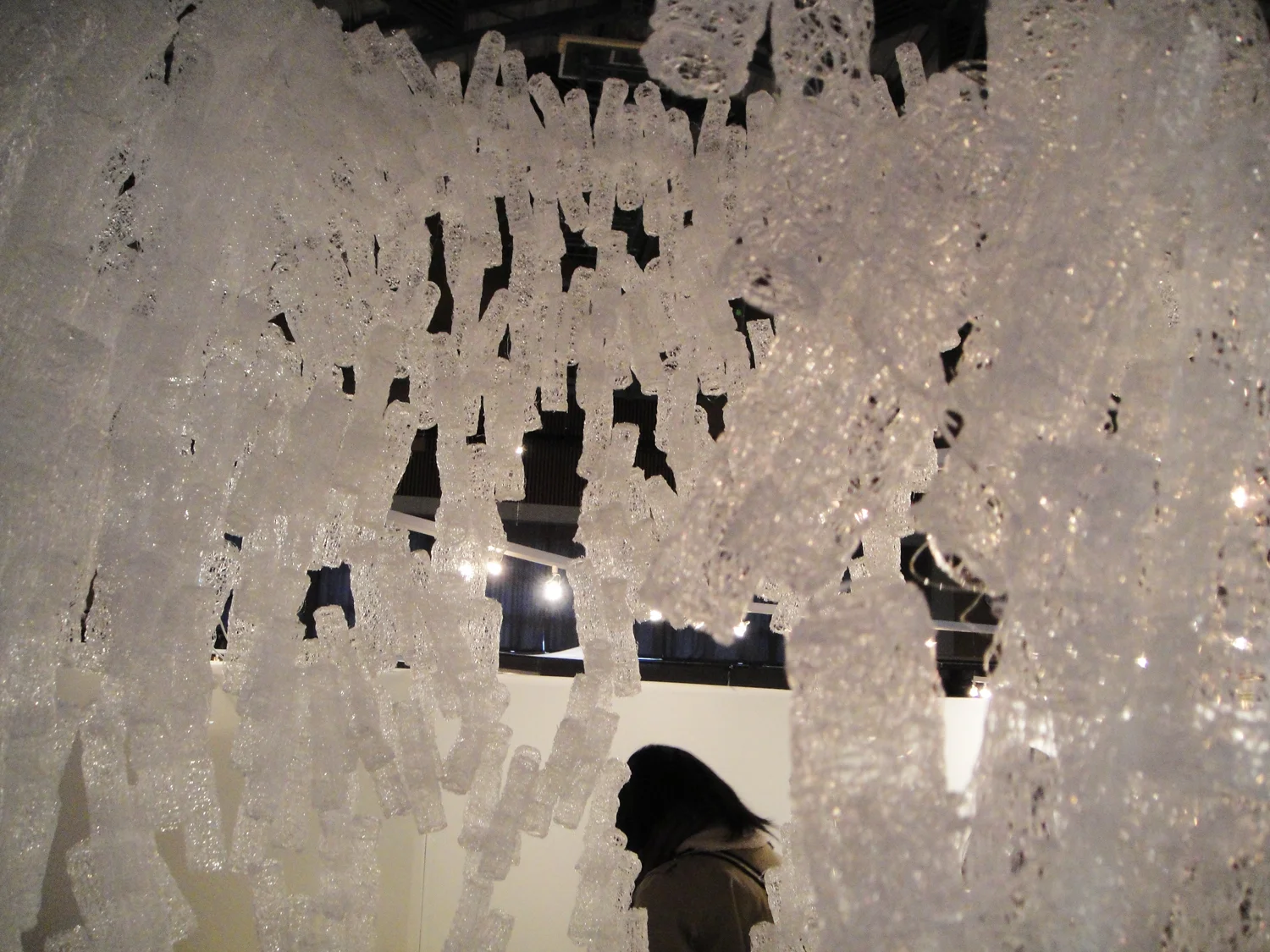 2_emmanuelle_moureaux_lab_exhibition_2011.JPG