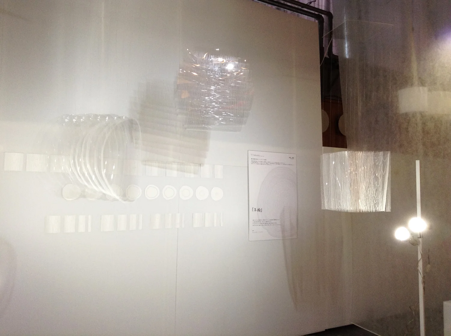 6_emmanuelle_moureaux_lab_exhibition_2014.JPG