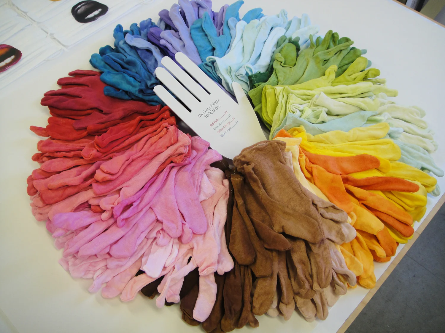 24_emmanuelle_moureaux_100colors_lab.JPG