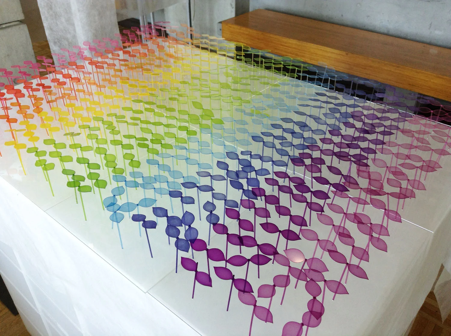 29_emmanuelle_moureaux_100colors_lab.JPG
