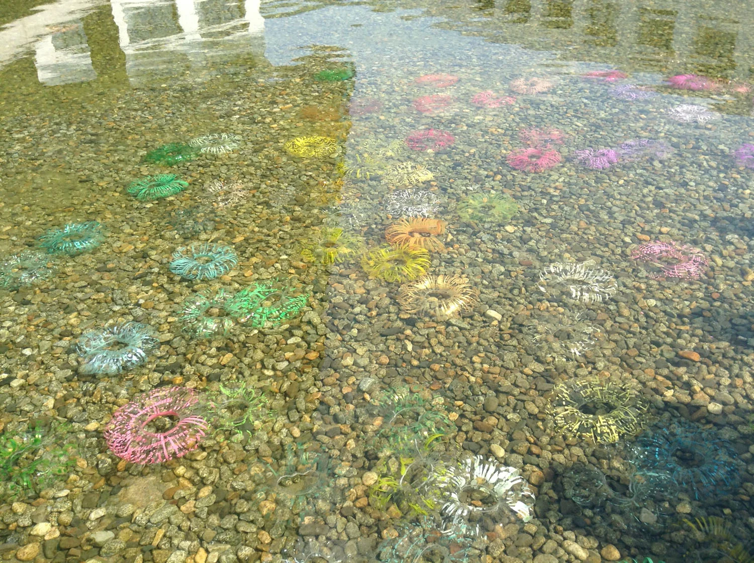 5a_emmanuelle_moureaux_100colors_lab.JPG