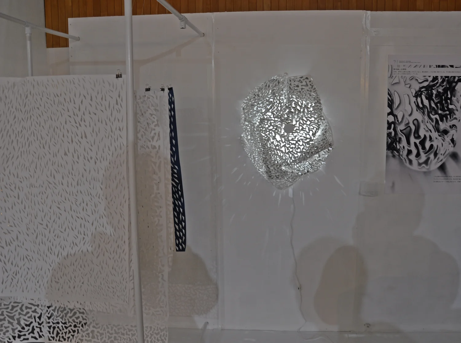 8_emmanuelle_moureaux_lab_exhibition_2014.JPG