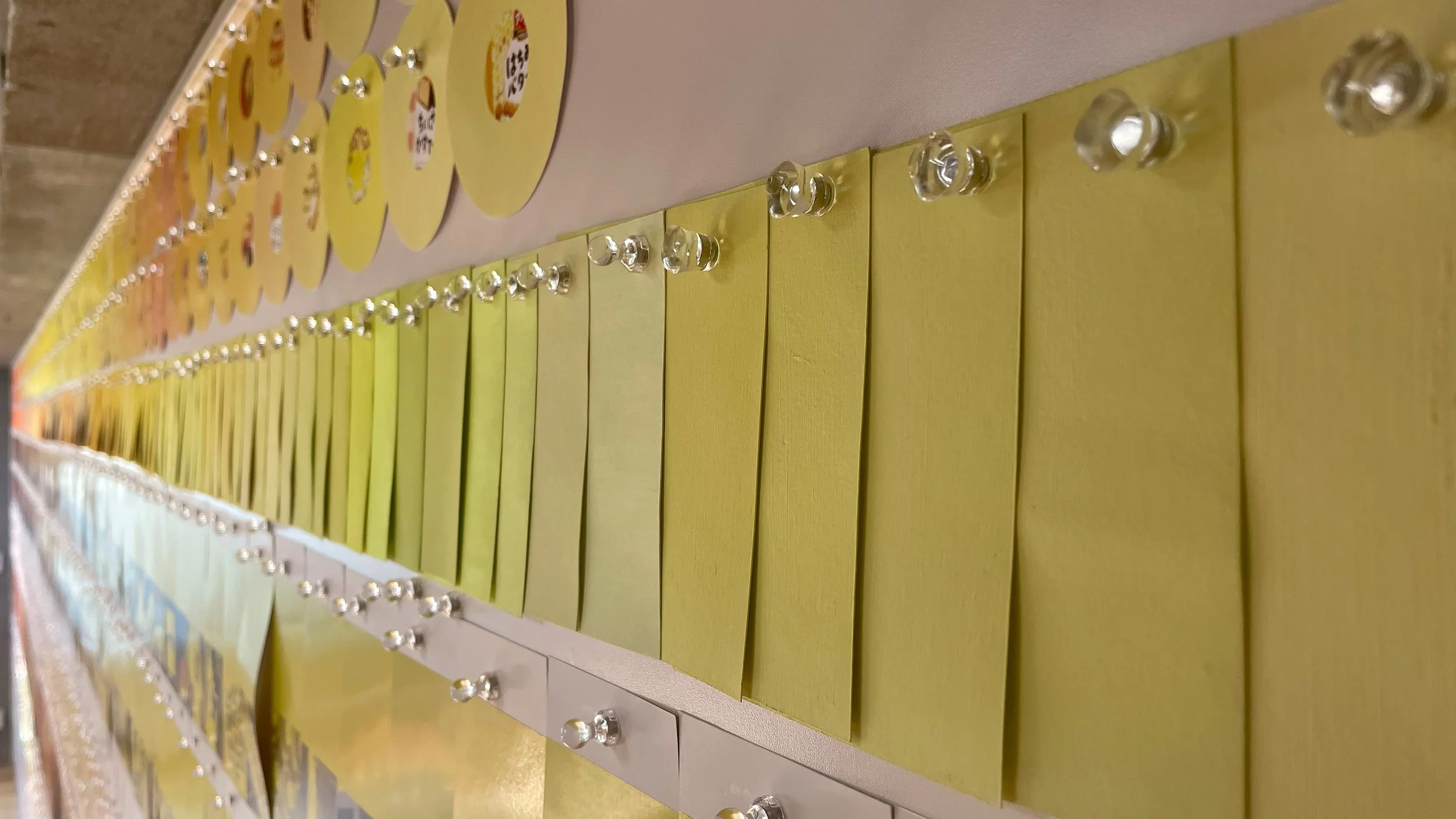 color_observation_yellow-orange_2026_001.jpg