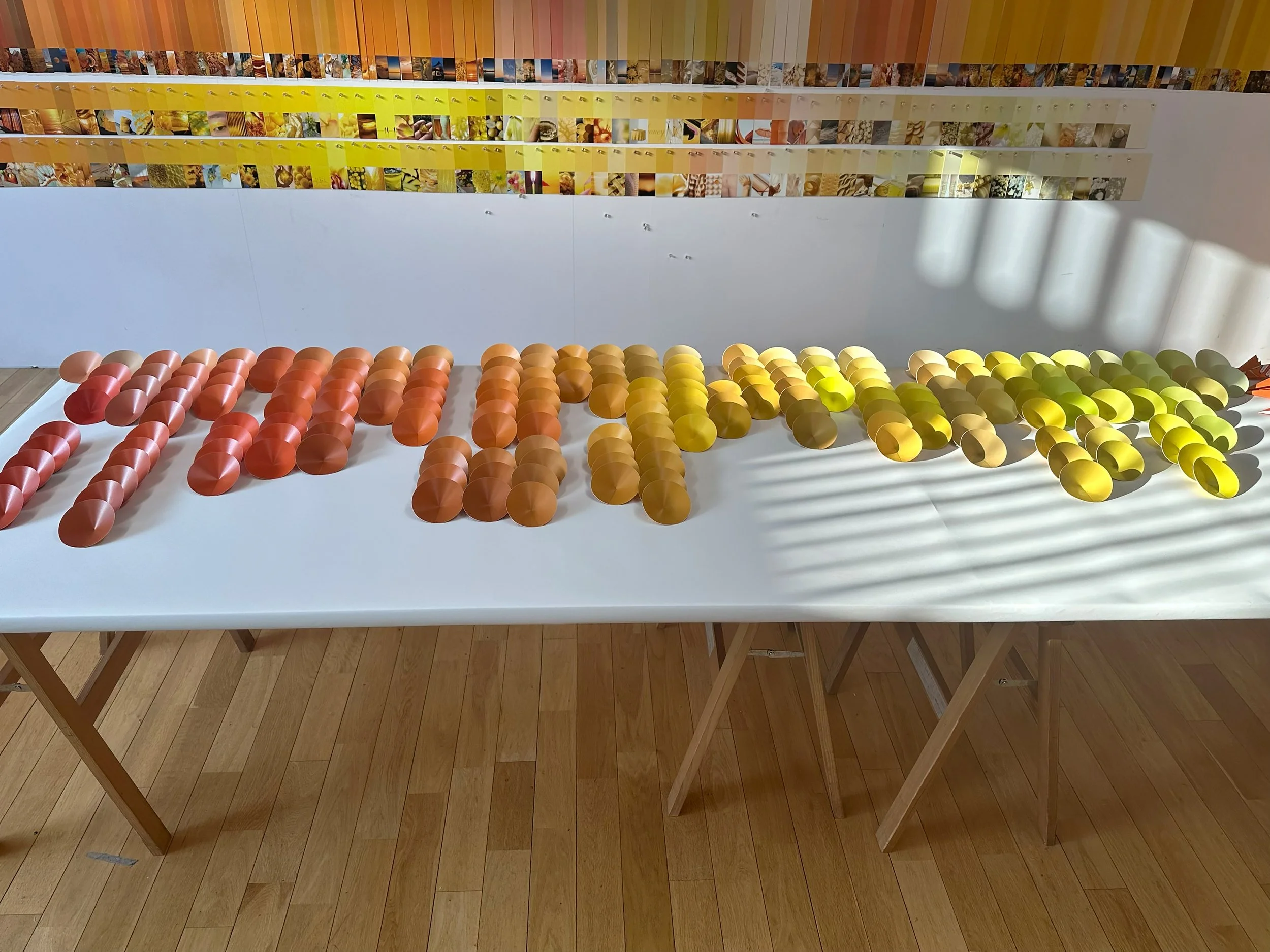 color_observation_yellow-orange_2026_008.jpg