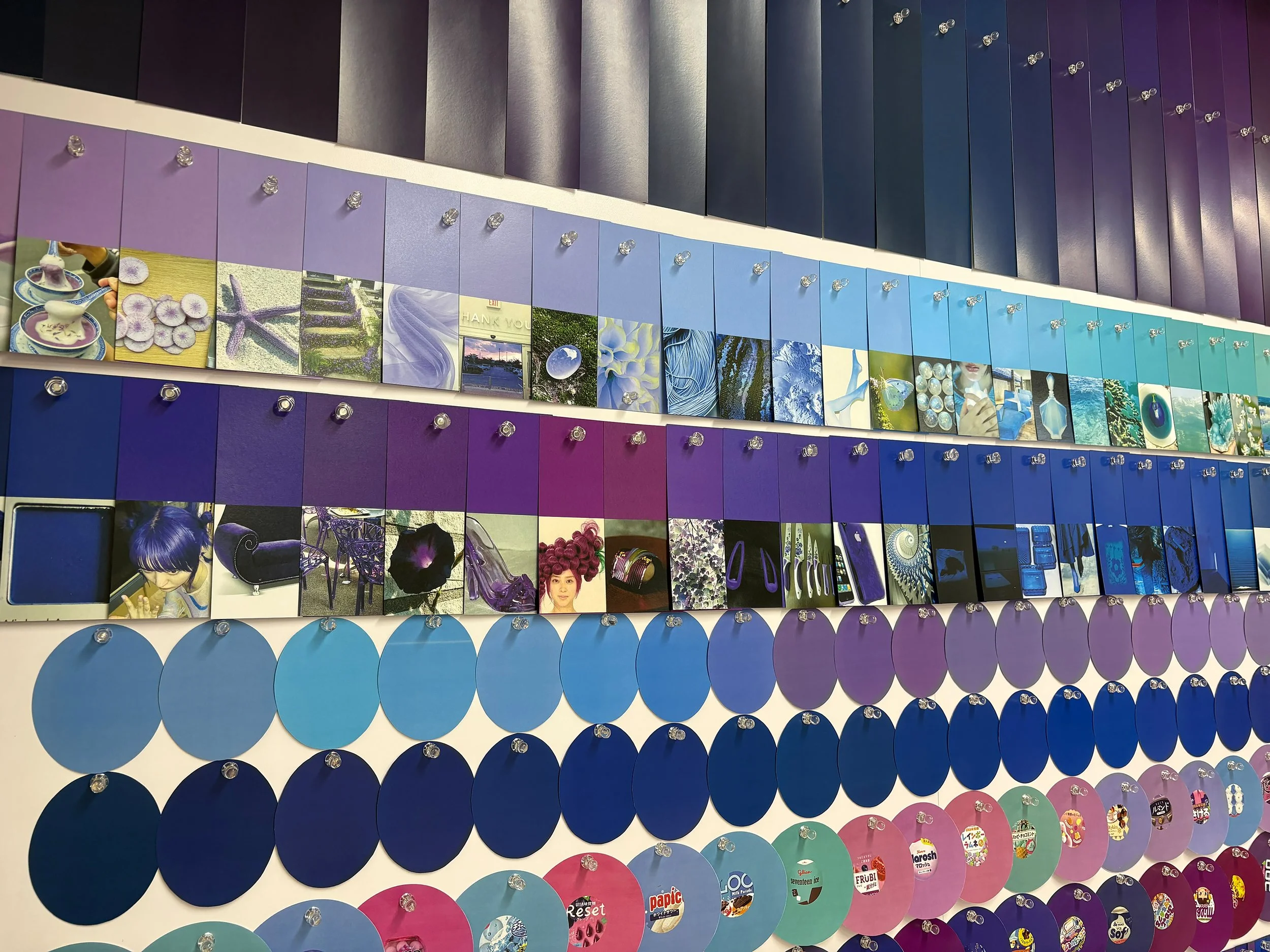 color_observation_blue-purple_2026_008.jpg