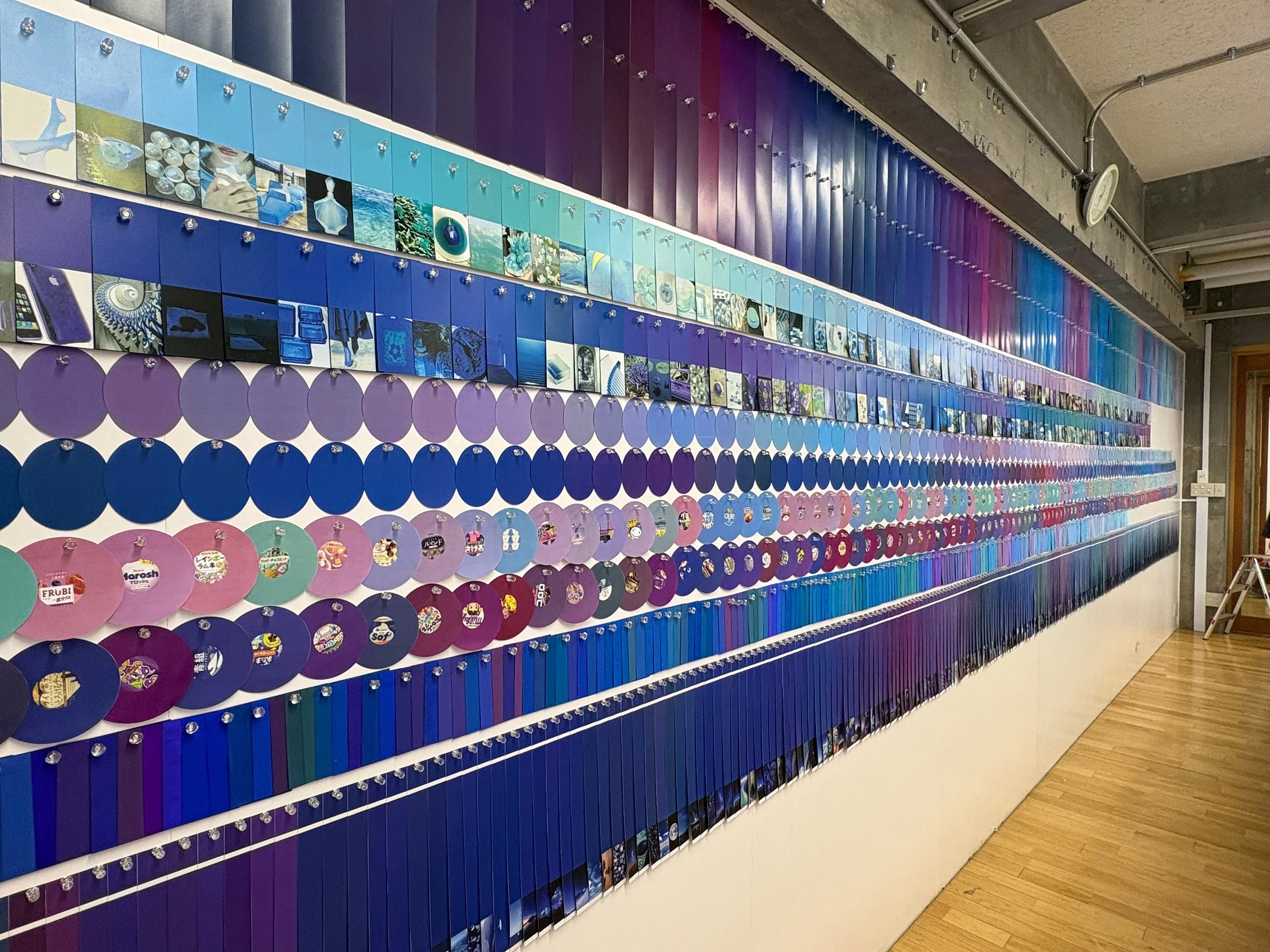 color_observation_blue-purple_2026_009.jpeg