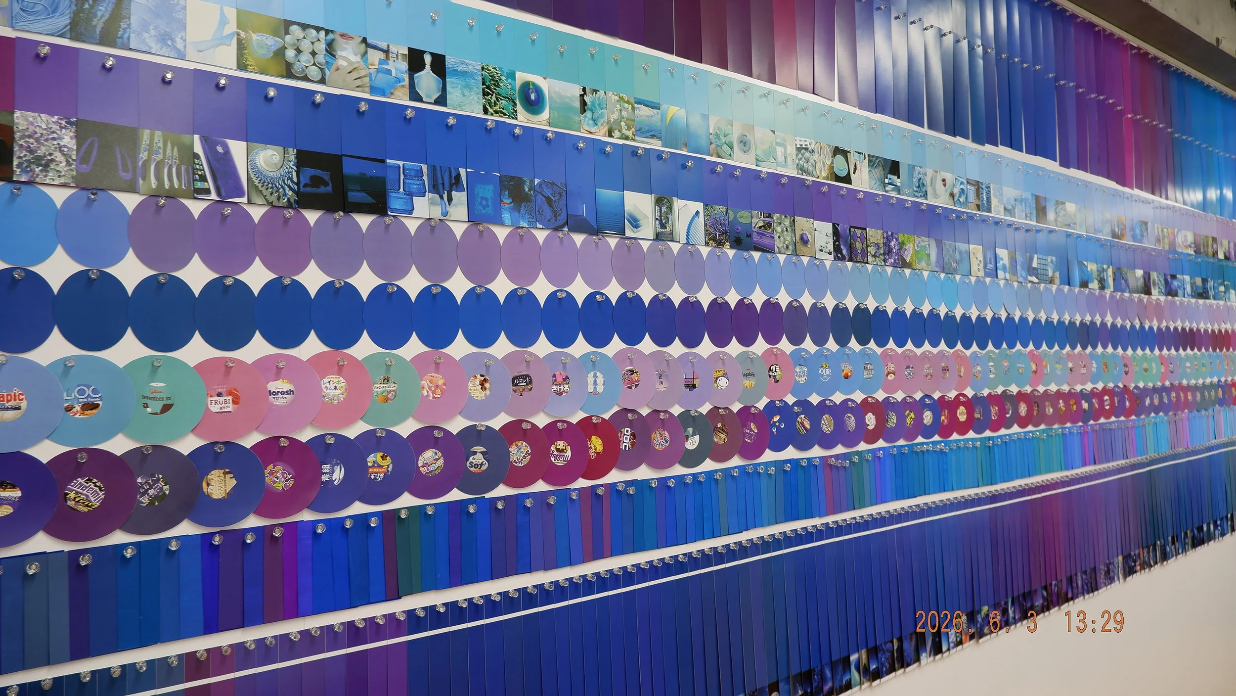 color_observation_blue-purple_2026_015.JPG