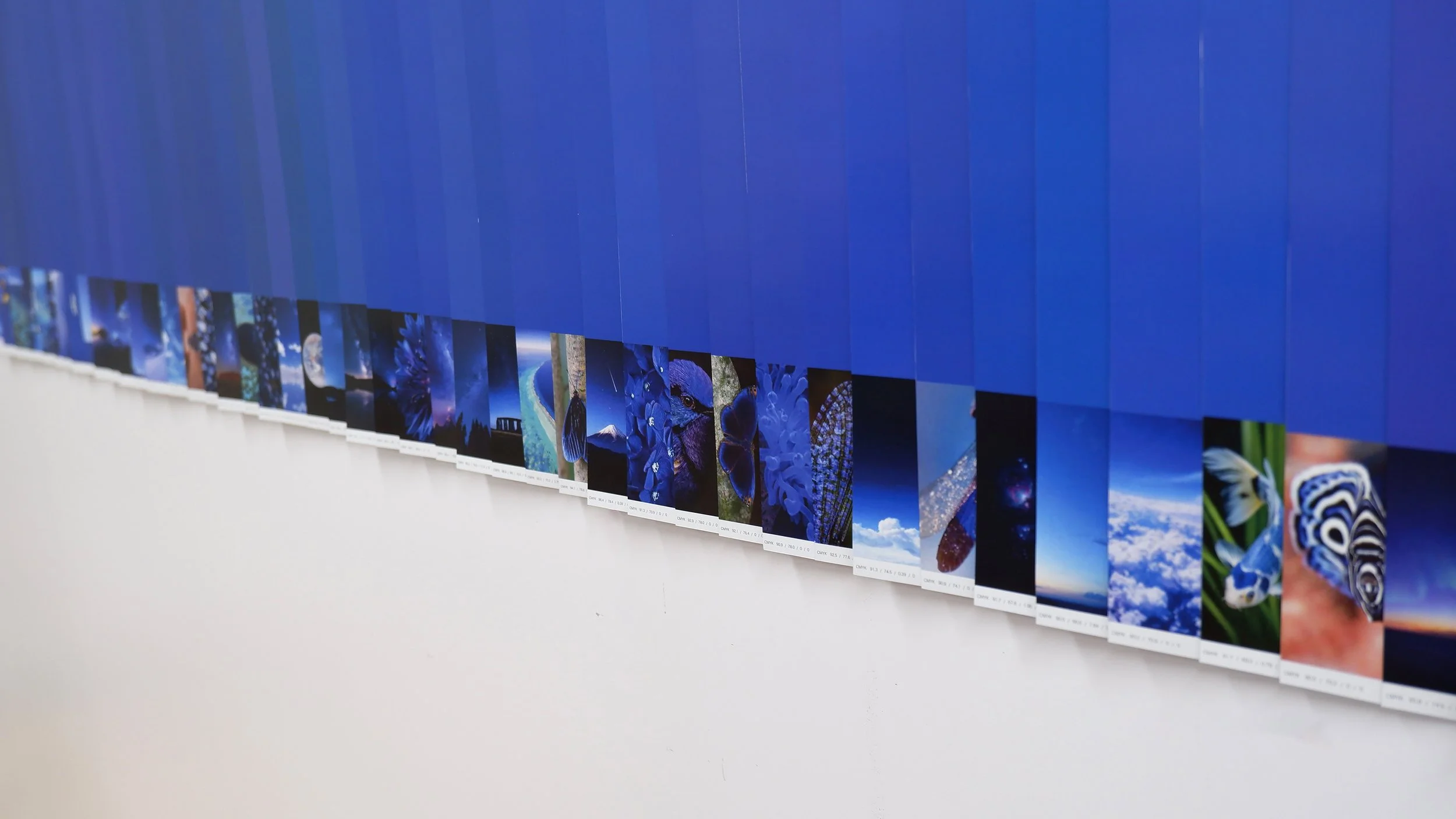 color_observation_blue-purple_2026_016.jpg