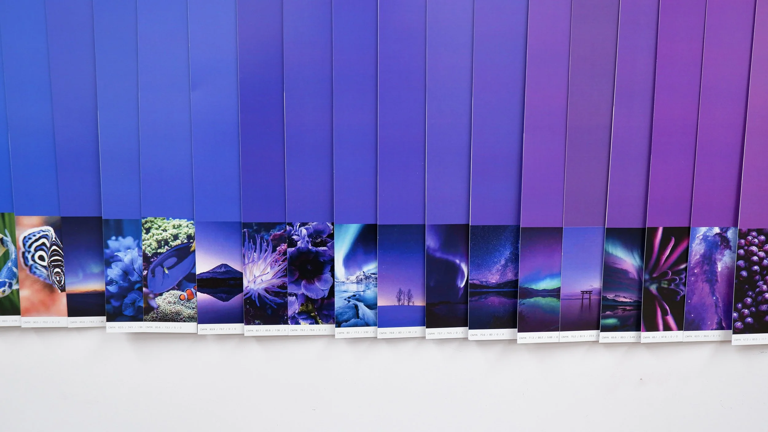 color_observation_blue-purple_2026_017.jpg