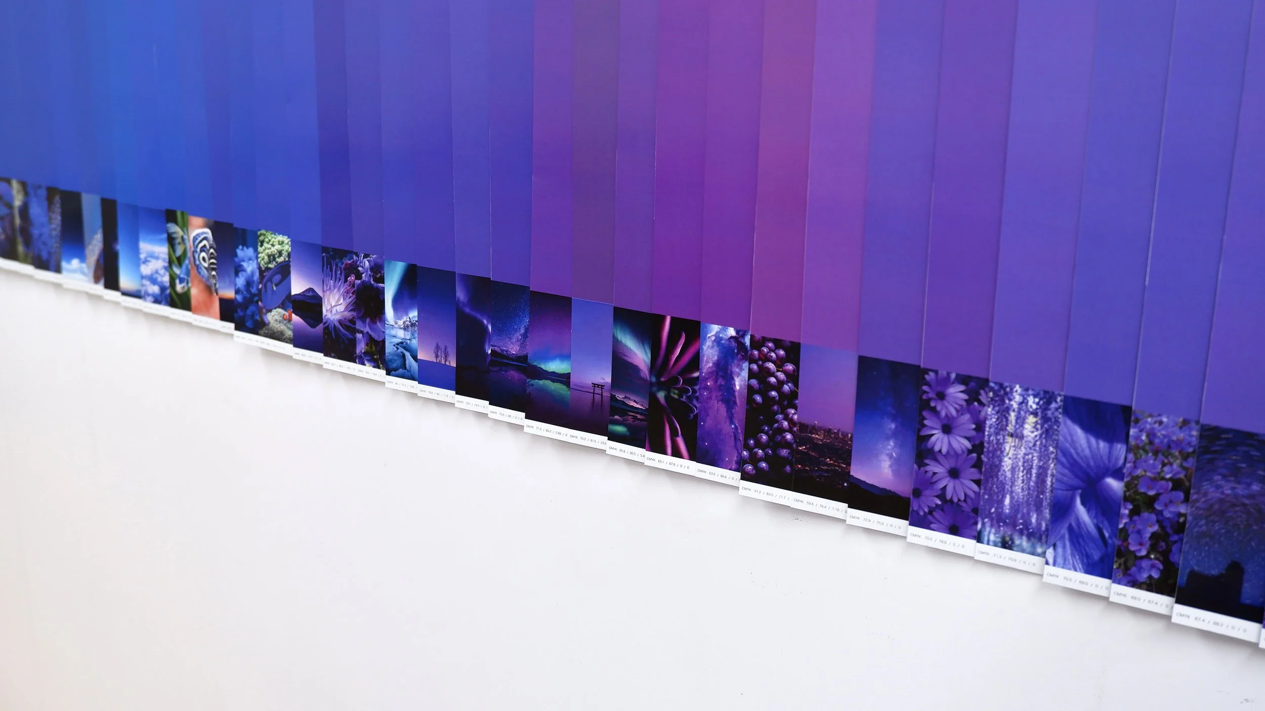 color_observation_blue-purple_2026_018.jpg