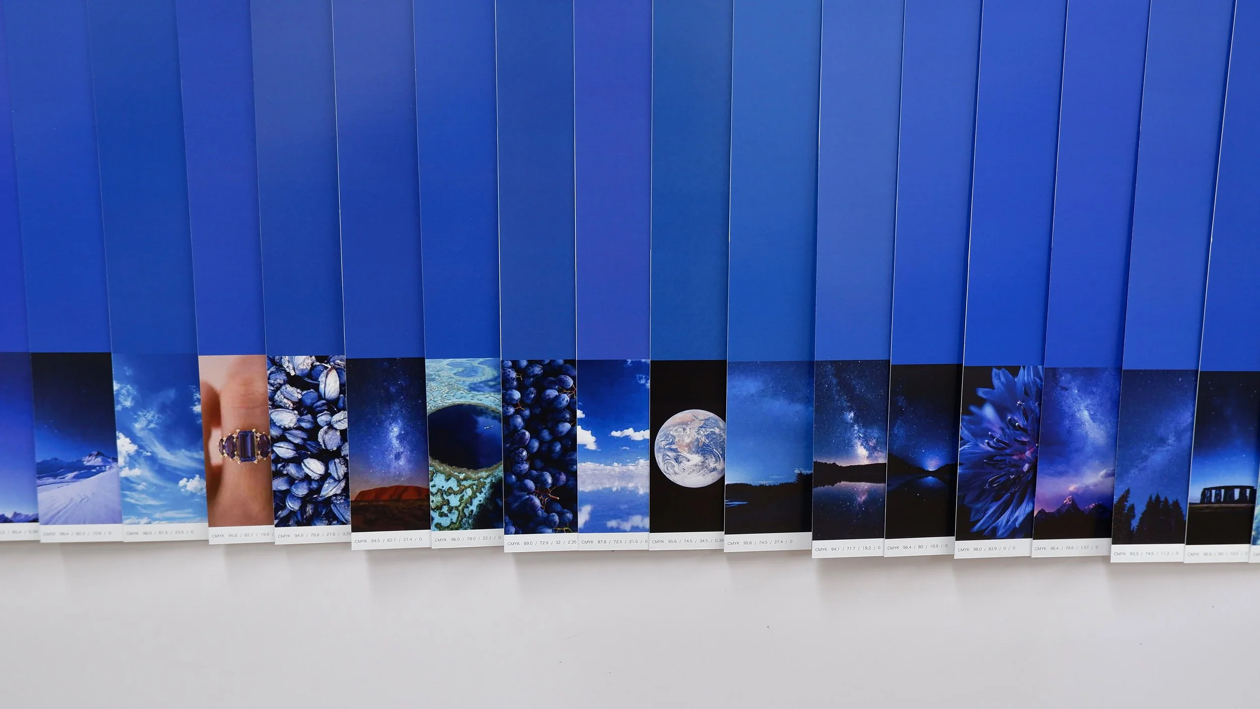 color_observation_blue-purple_2026_019.jpg