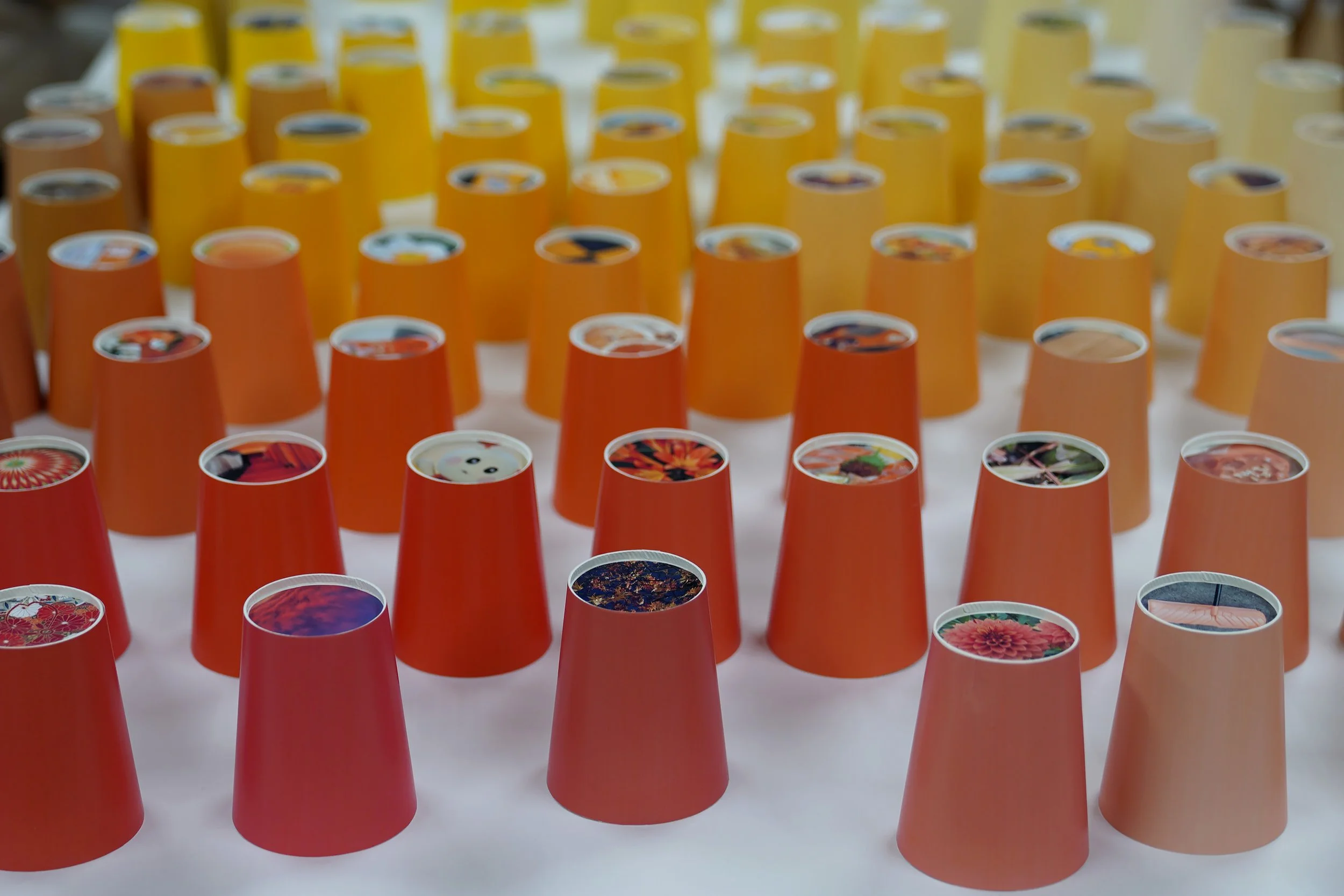 color_observation_yellow-orange_2025_002.JPG