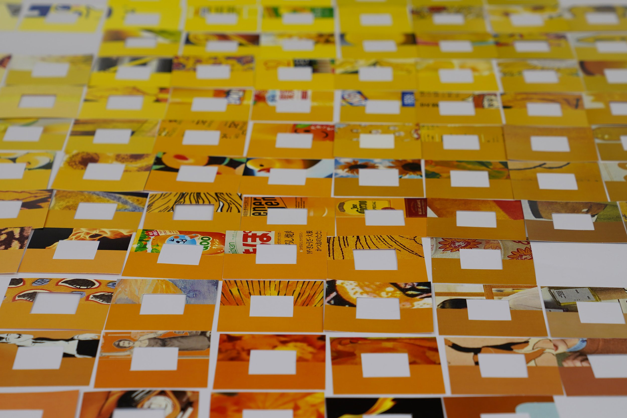 color_observation_yellow-orange_2025_015.JPG