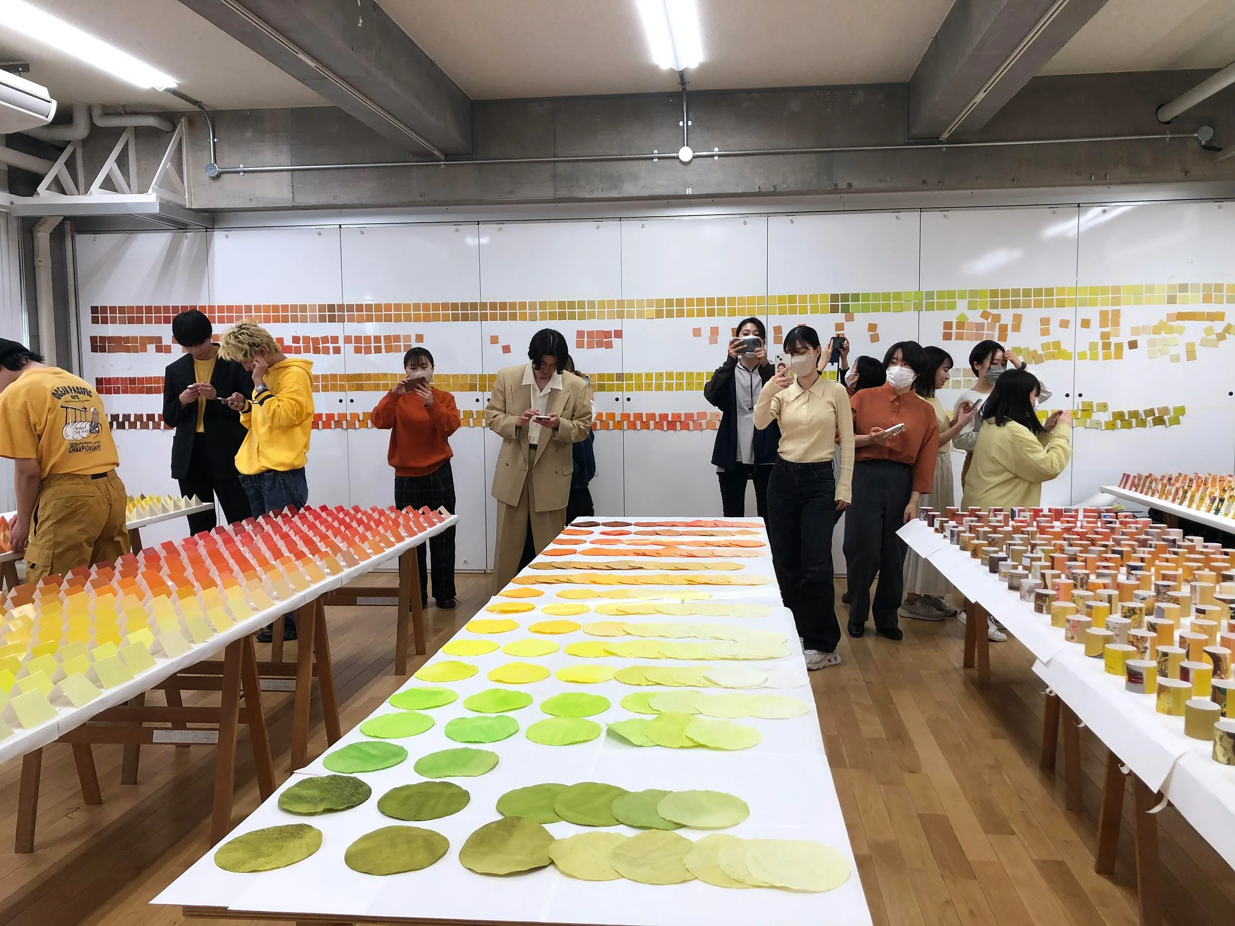 color_observation_yellow-orange_2023_012.JPG