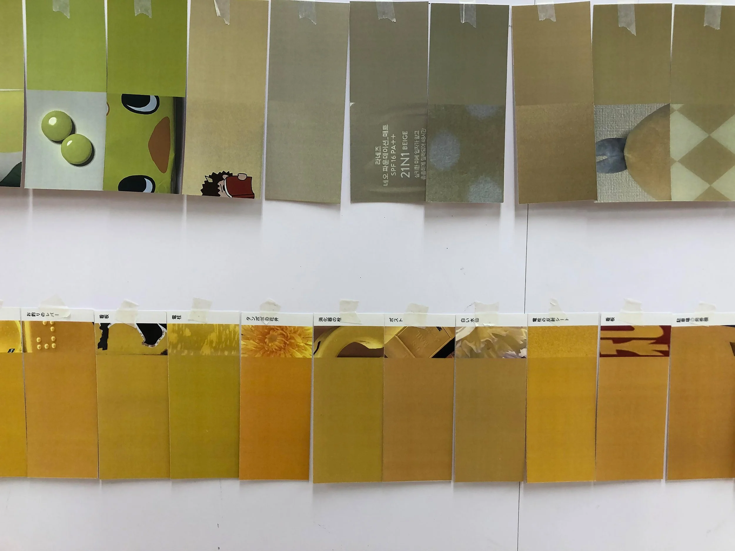 color_observation_yellow-orange_2022_018.JPG