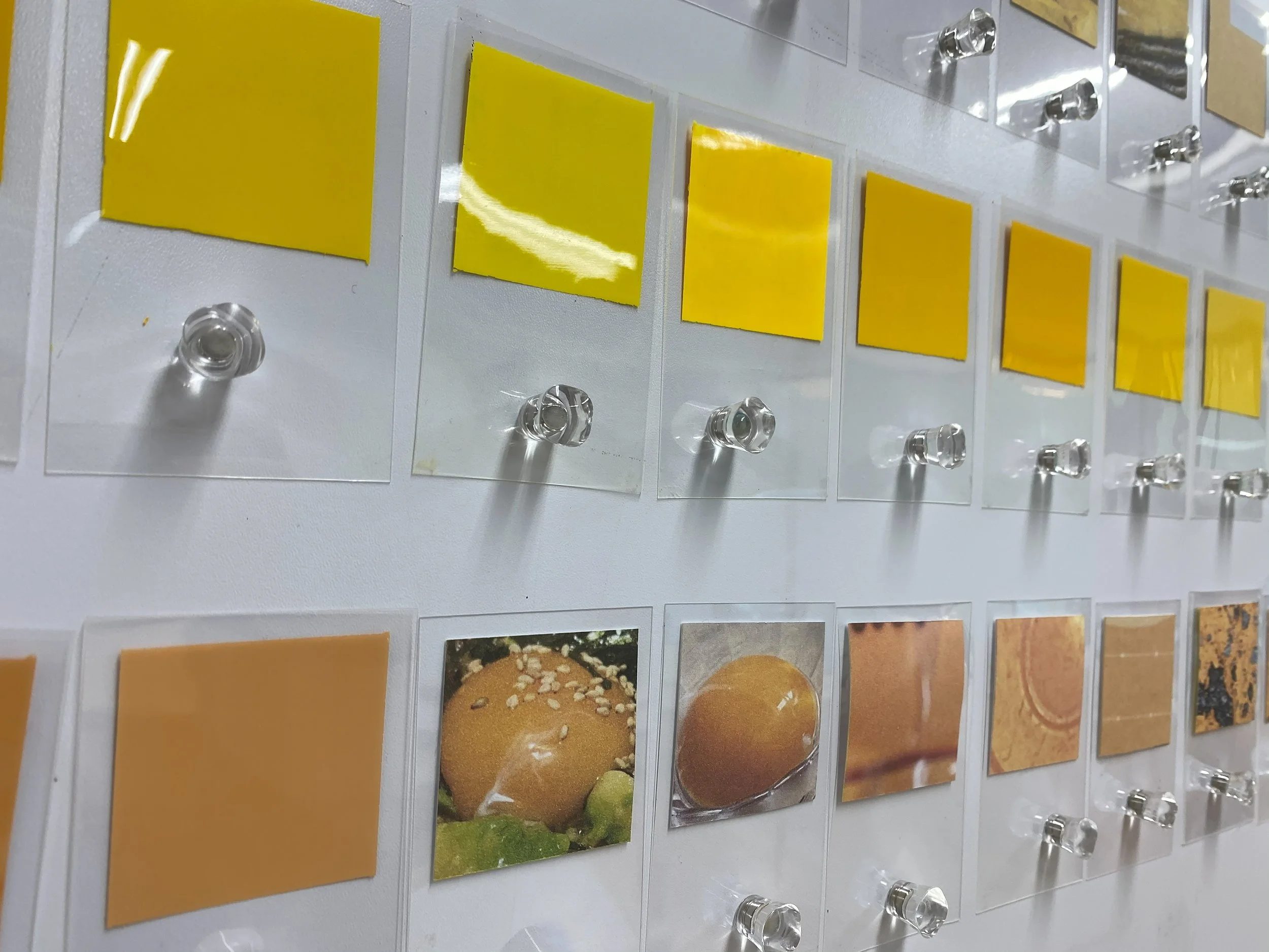 color_observation_yellow-orange_2021_015.jpg