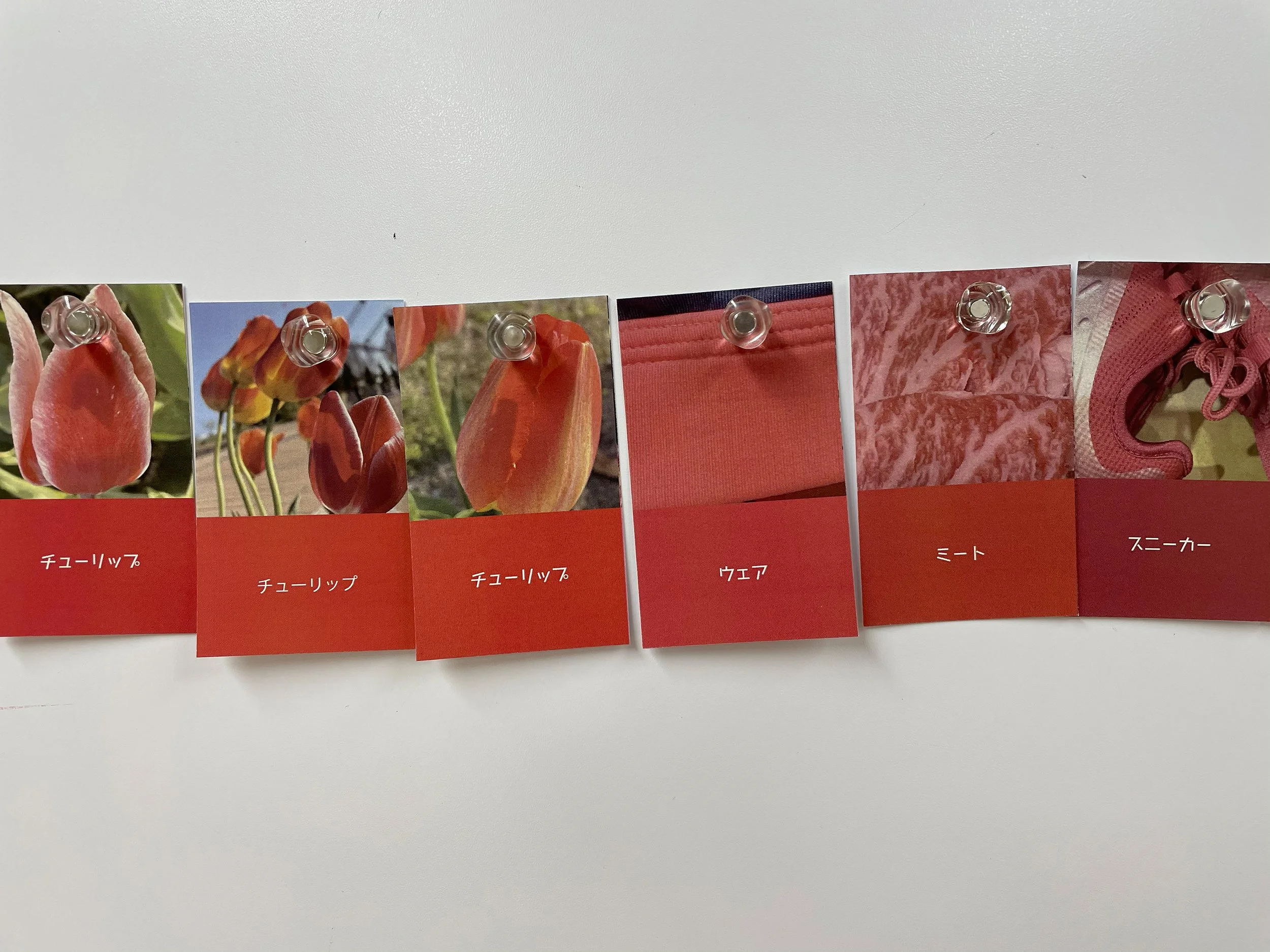 color_observation_pink-red_2021_007.jpg