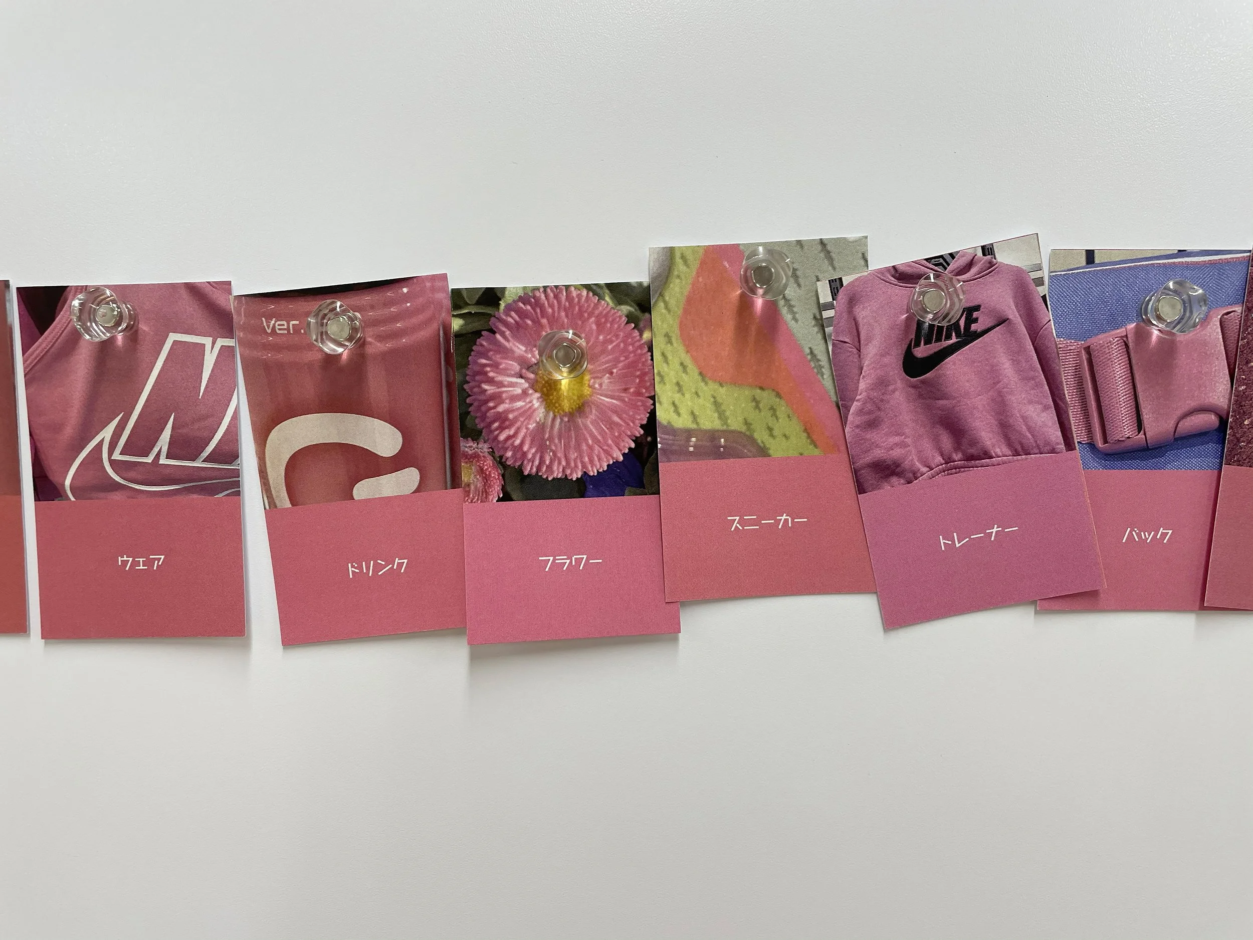 color_observation_pink-red_2021_010.jpg