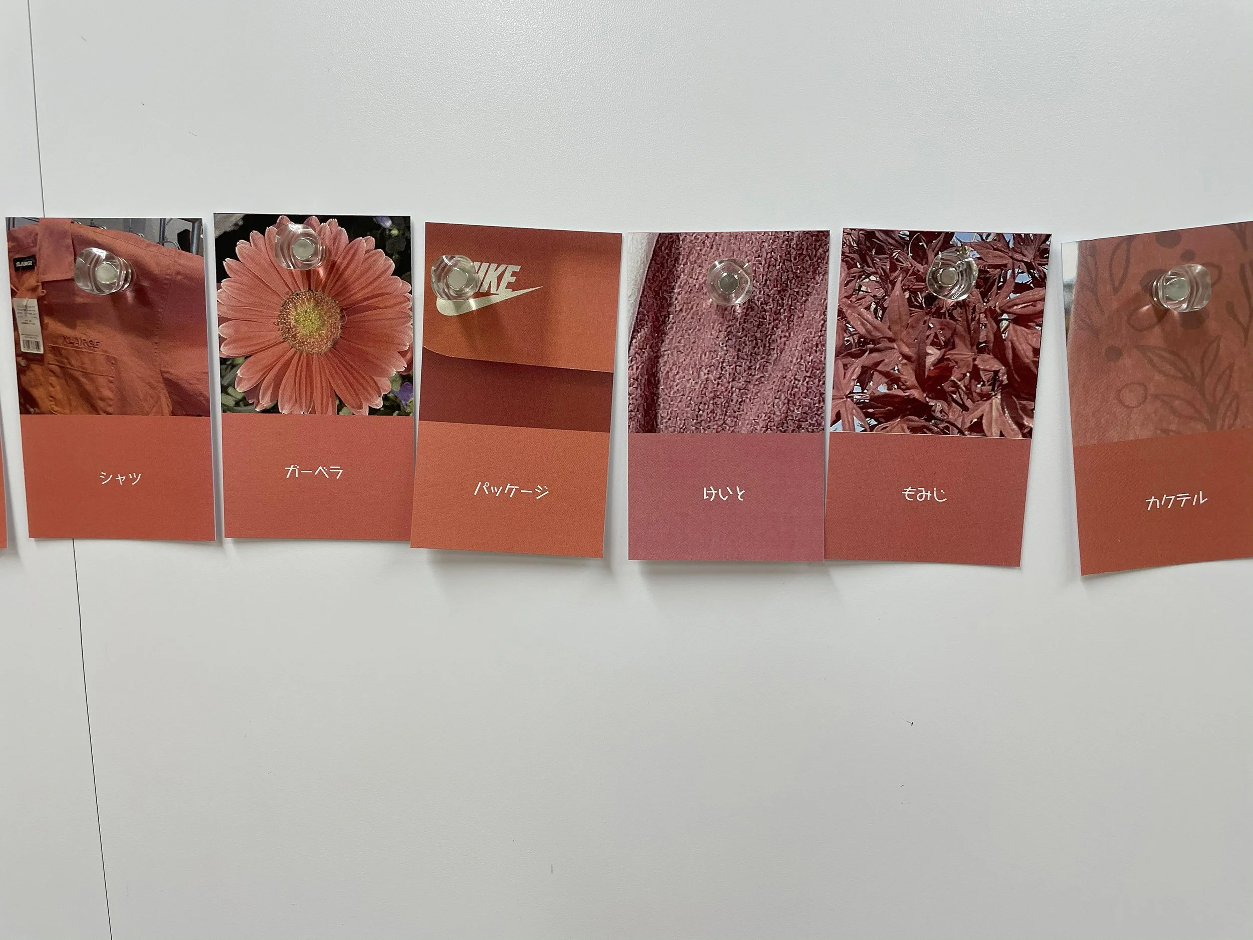 color_observation_pink-red_2021_012.jpg