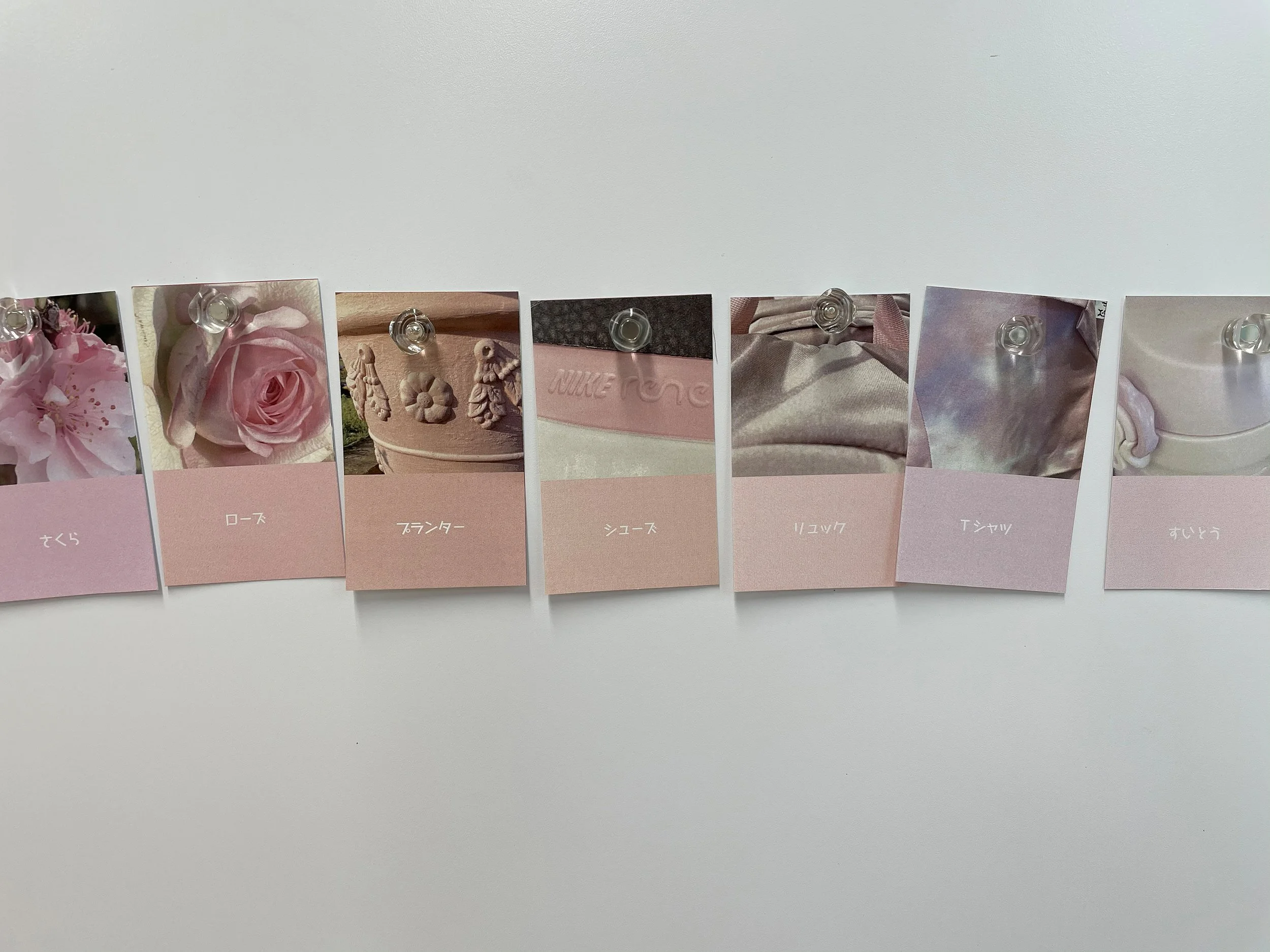 color_observation_pink-red_2021_014.jpg