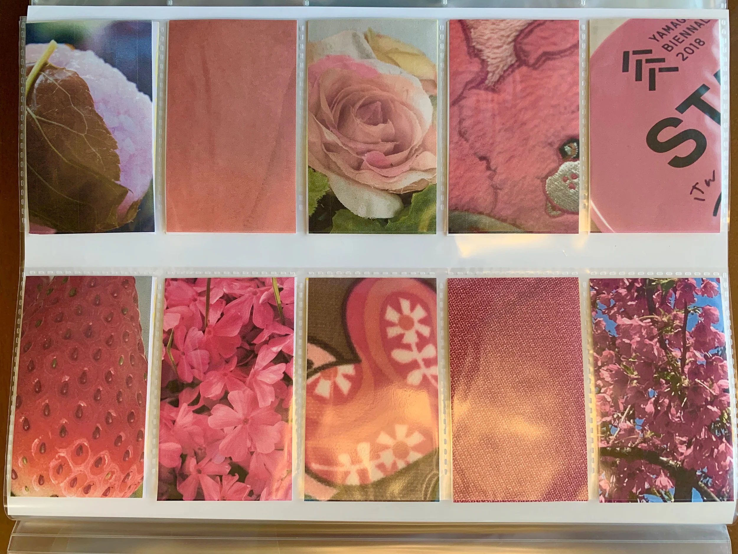 color_observation_pink-red_2020_008.jpg
