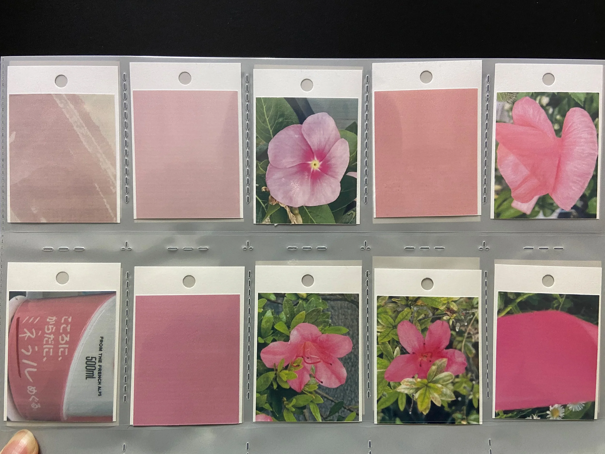 color_observation_pink-red_2020_010.JPG