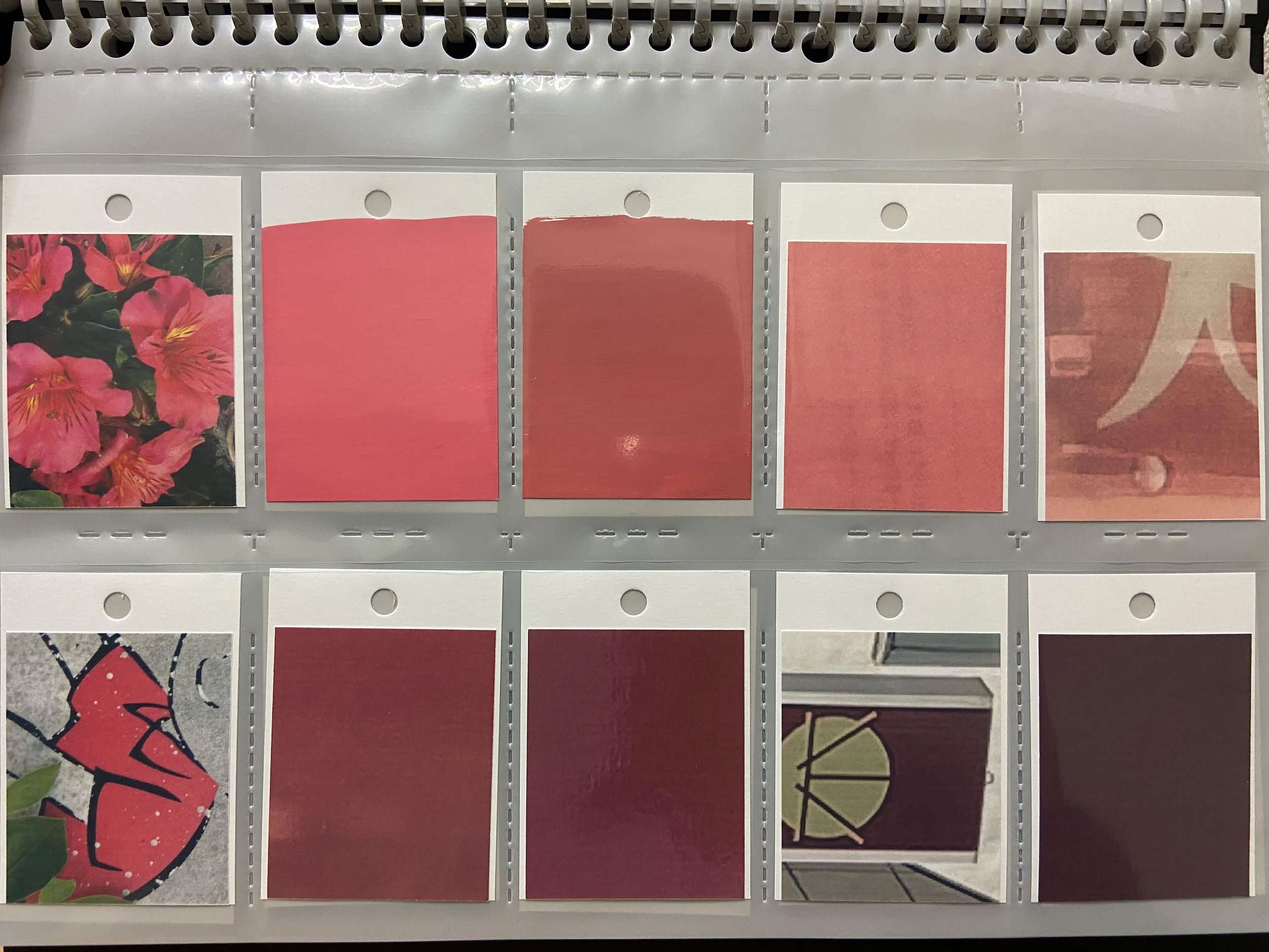 color_observation_pink-red_2020_013.JPG