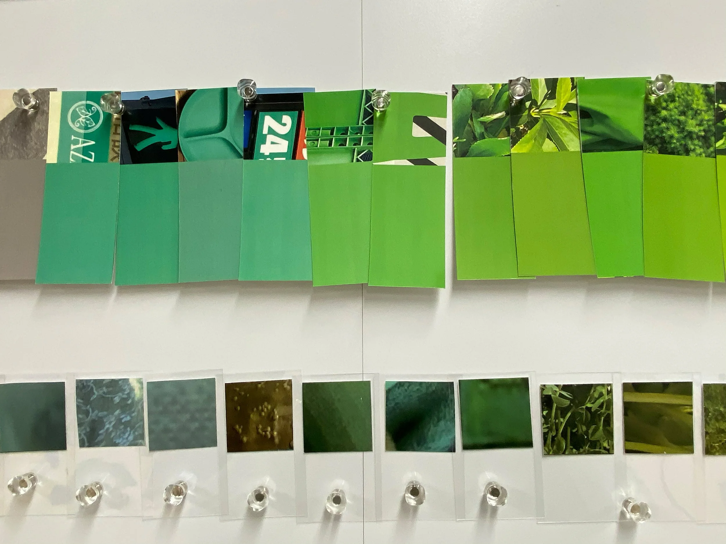 color_observation_green_2021_002.jpg